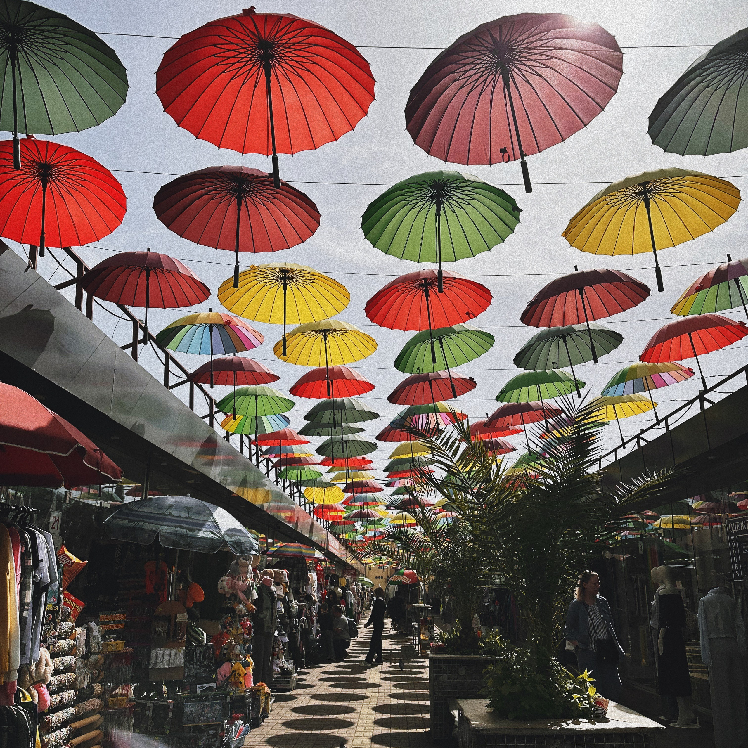 Контакты. SoulCam| Мария Антонова