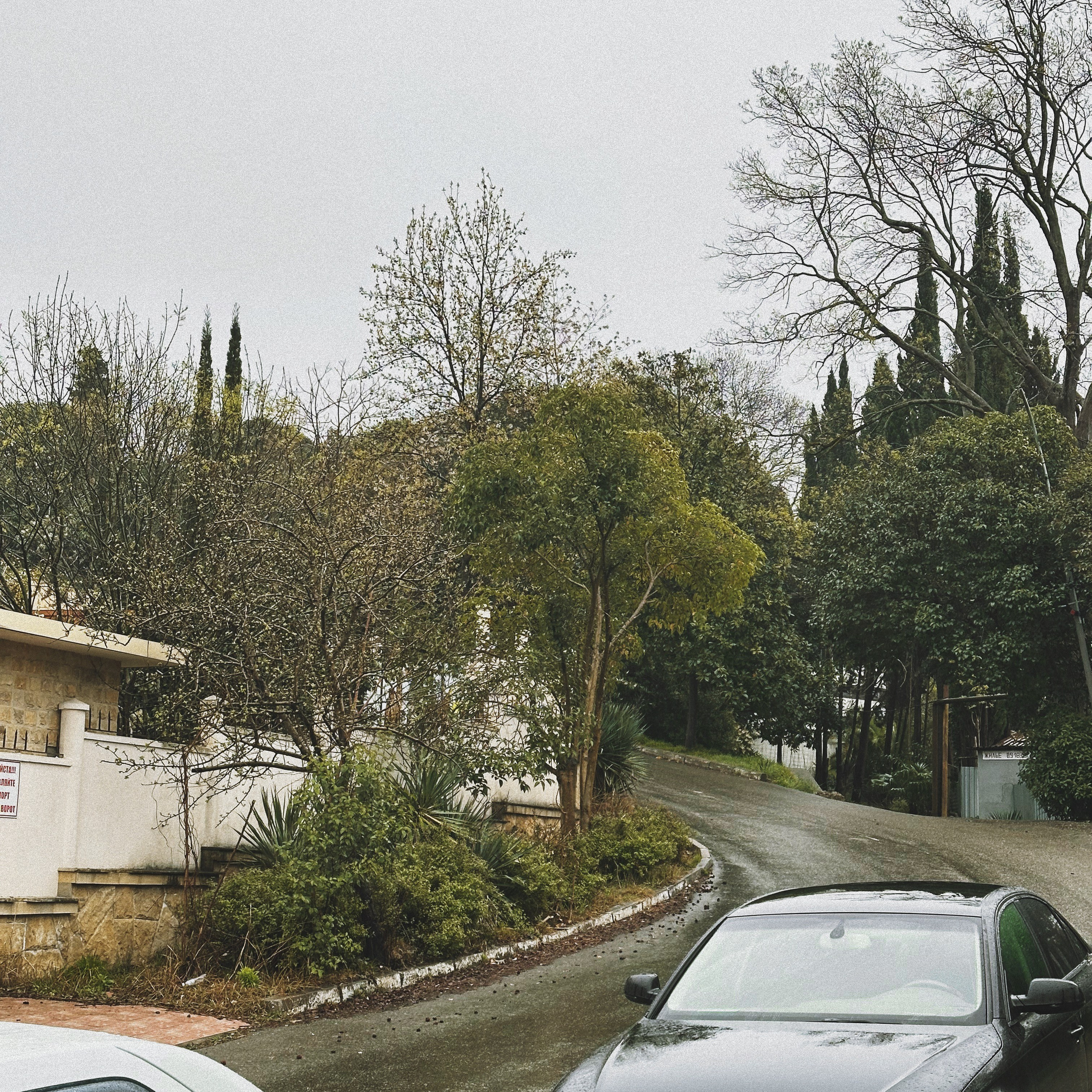 Контакты. SoulCam| Мария Антонова