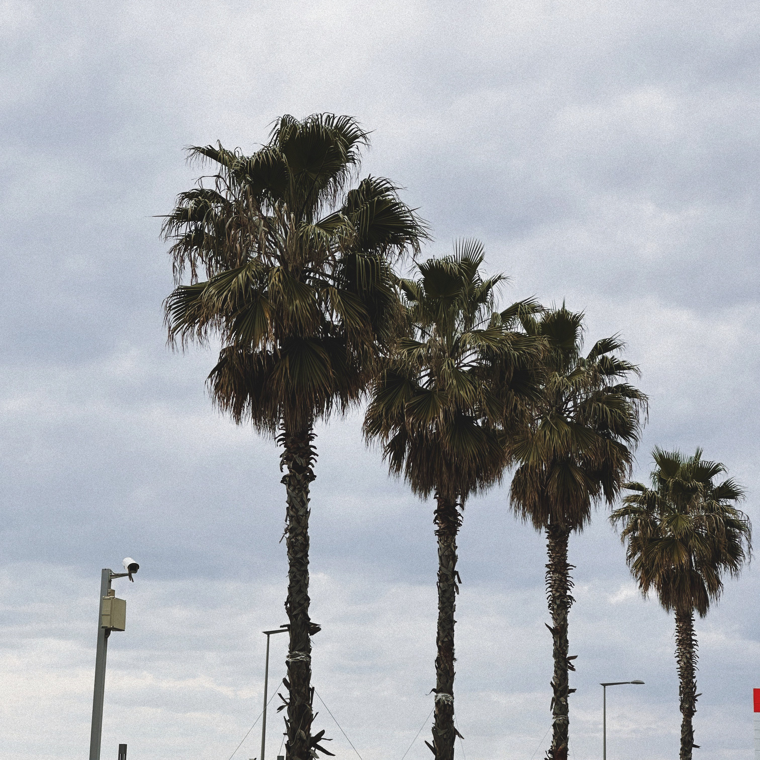 Контакты. SoulCam| Мария Антонова