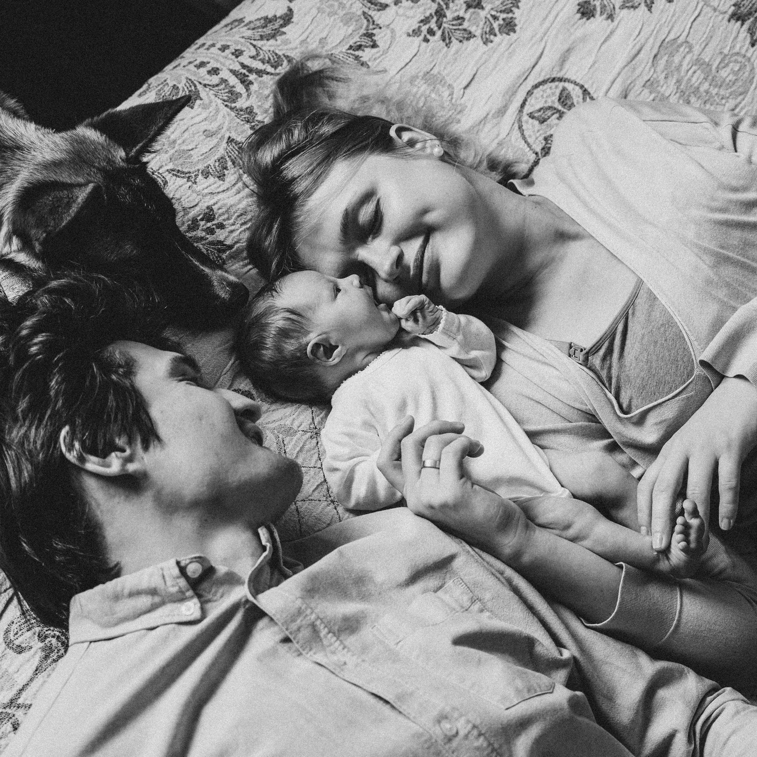 Маленькая принцесса и большая собака