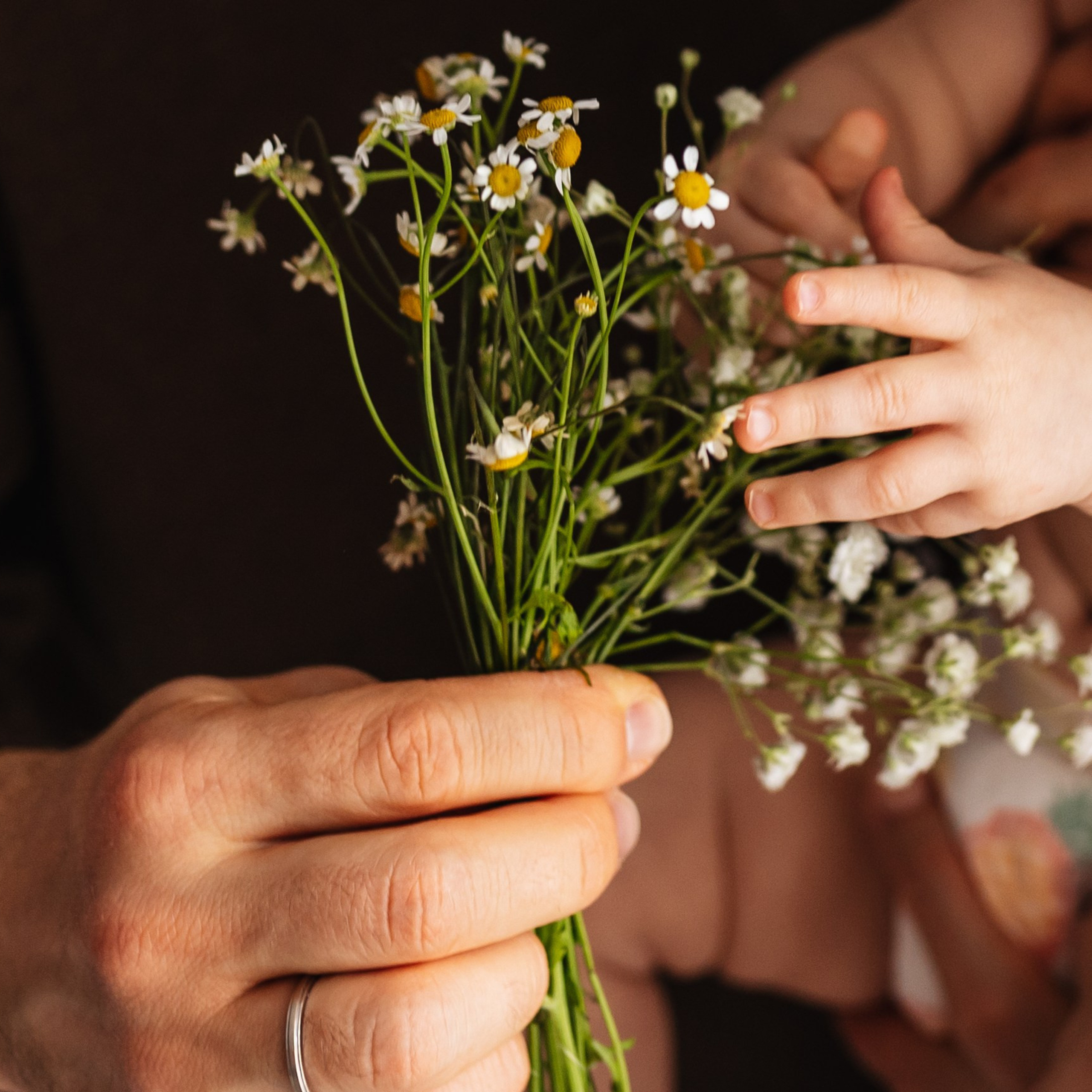Ромашки для Есении