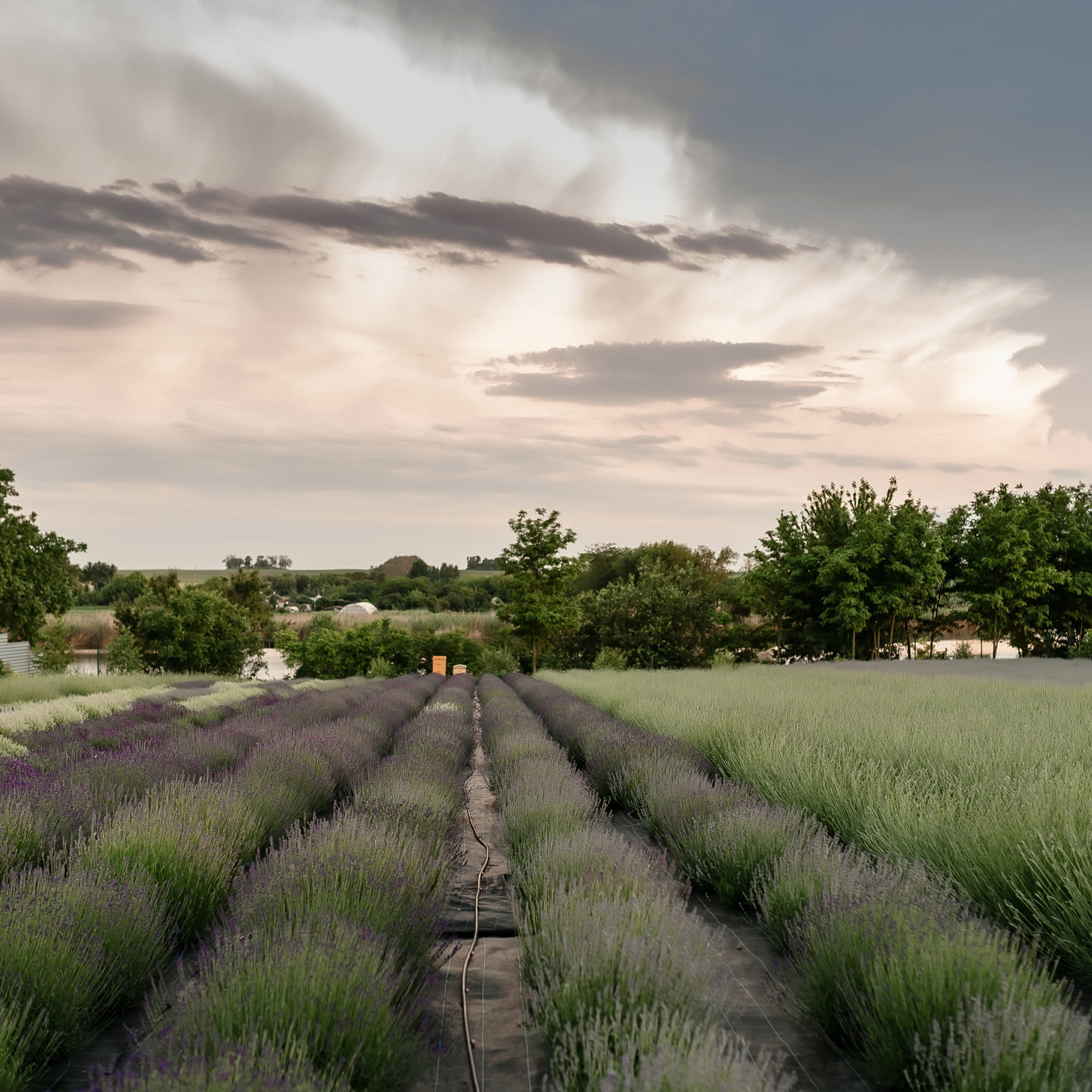 Отзывы. Фотограф Котова Валентина