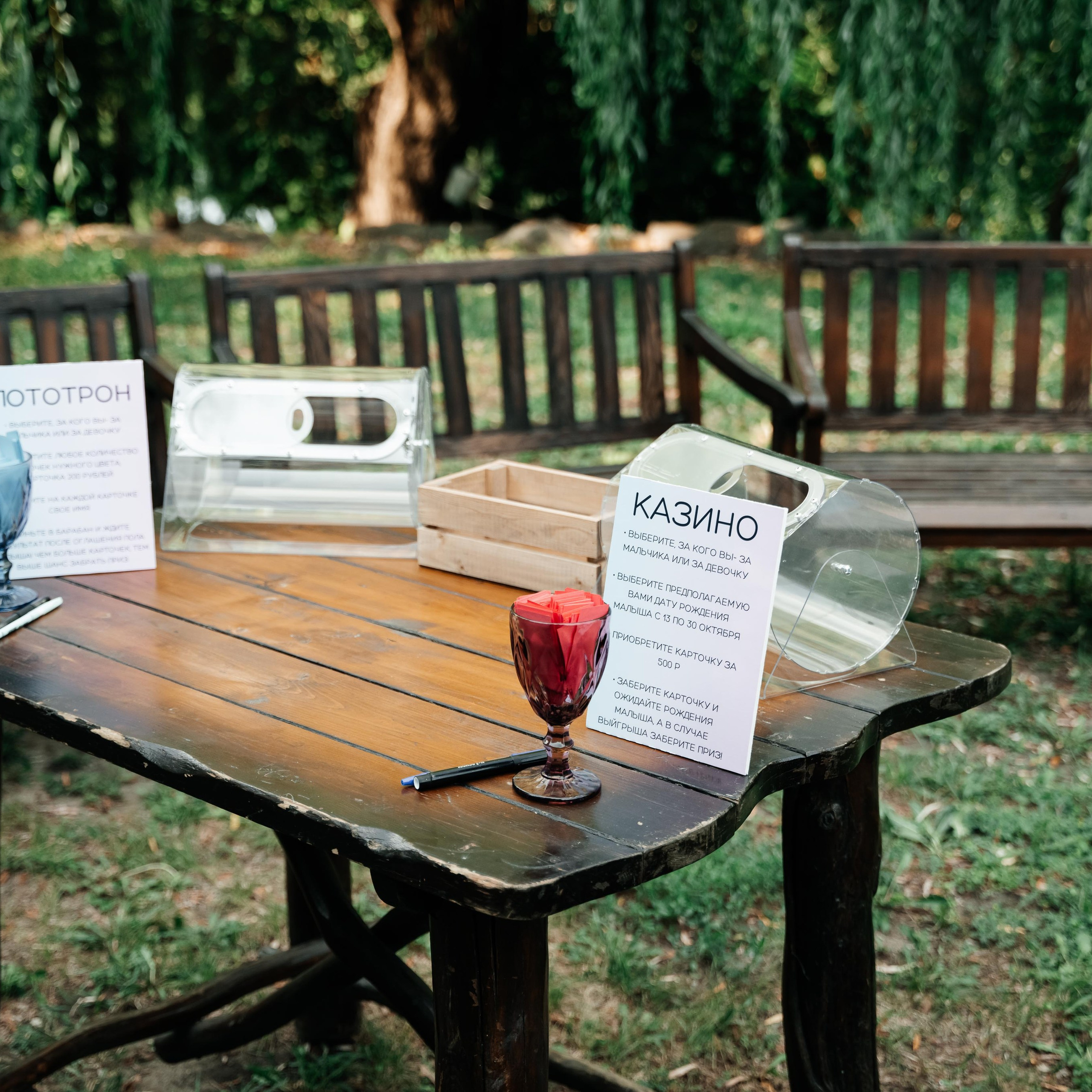 Гендер пати в Ростове-на-Дону: праздничная атмосфера на живописной поляне