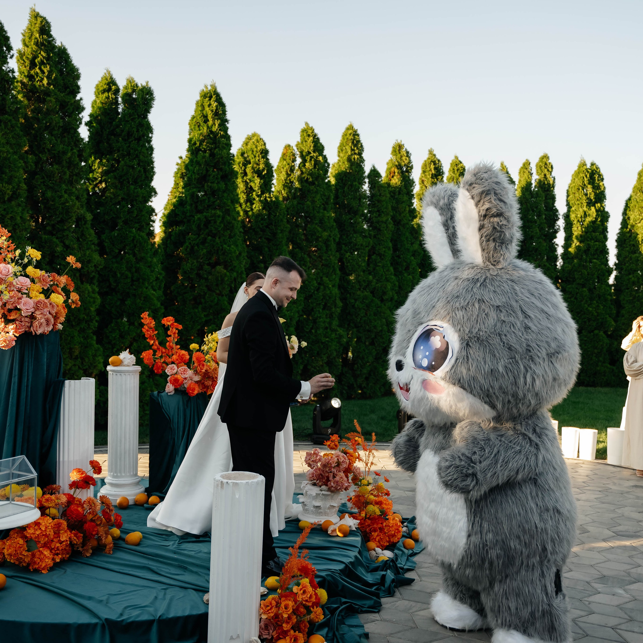 Выездная регистрация брака в Ростове-на-Дону NOVIKOVA EVENT DOM | Организация свадеб