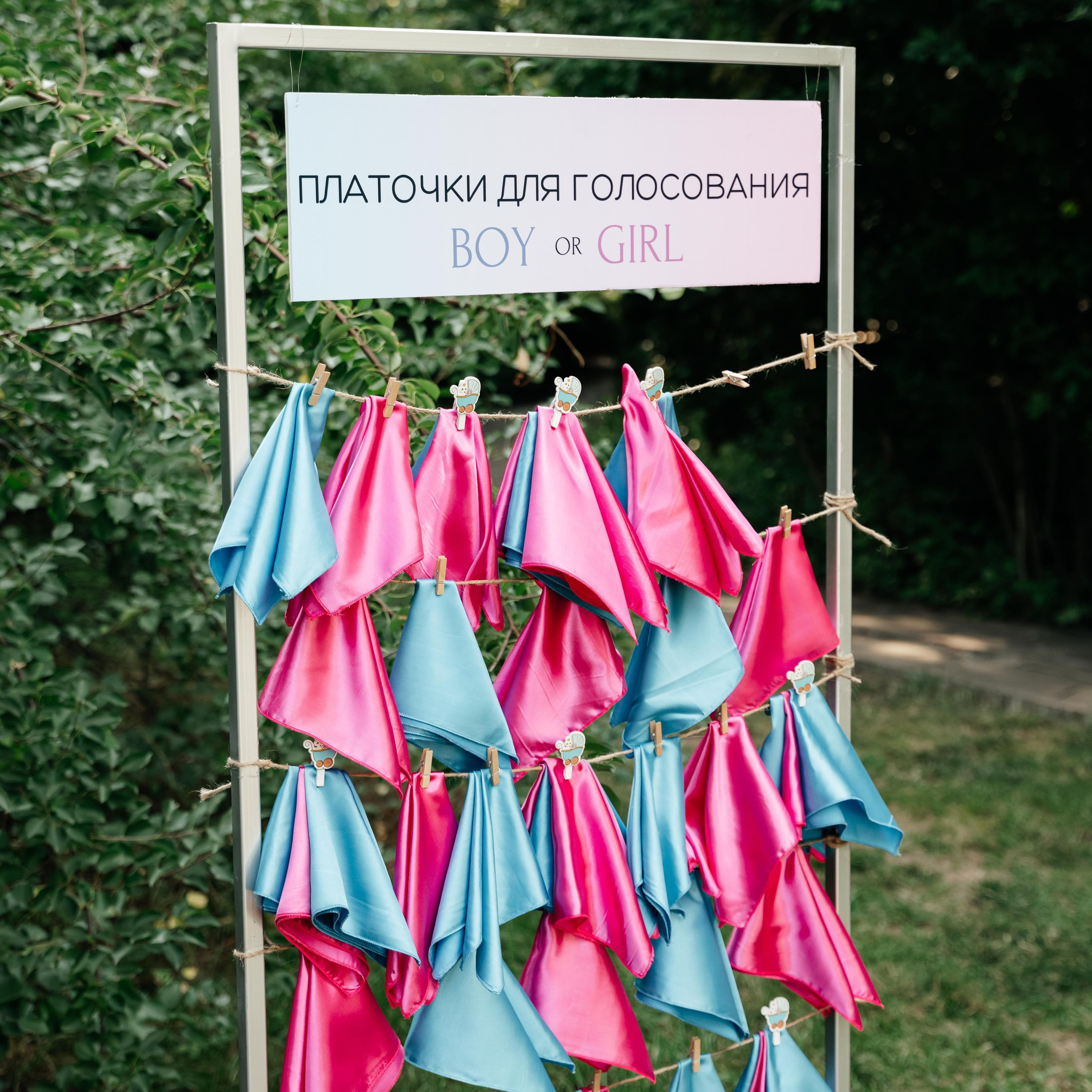 Гендер пати в Ростове-на-Дону: праздничная атмосфера на живописной поляне