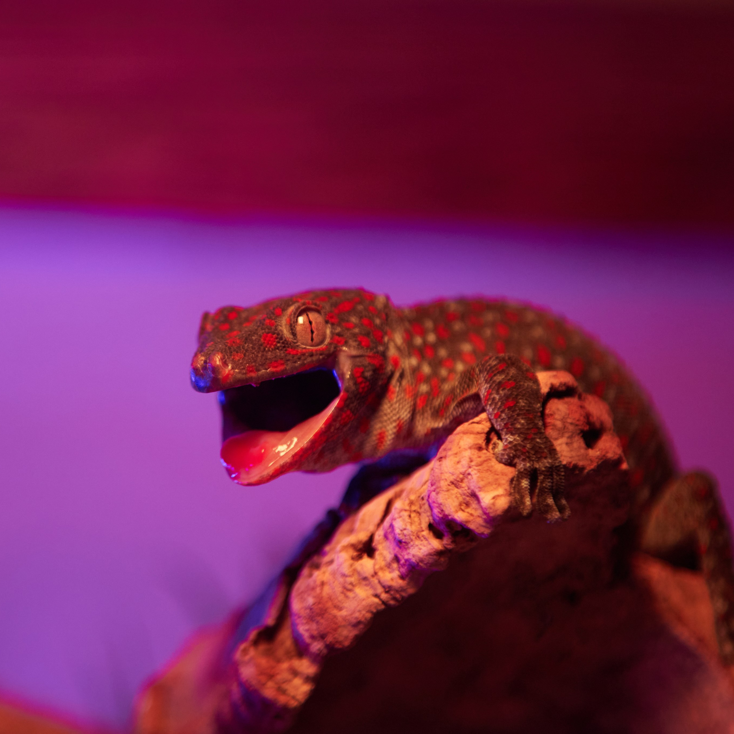 Отзывы клиентов. Екатерина Осипова — профессиональный фотограф в Москве