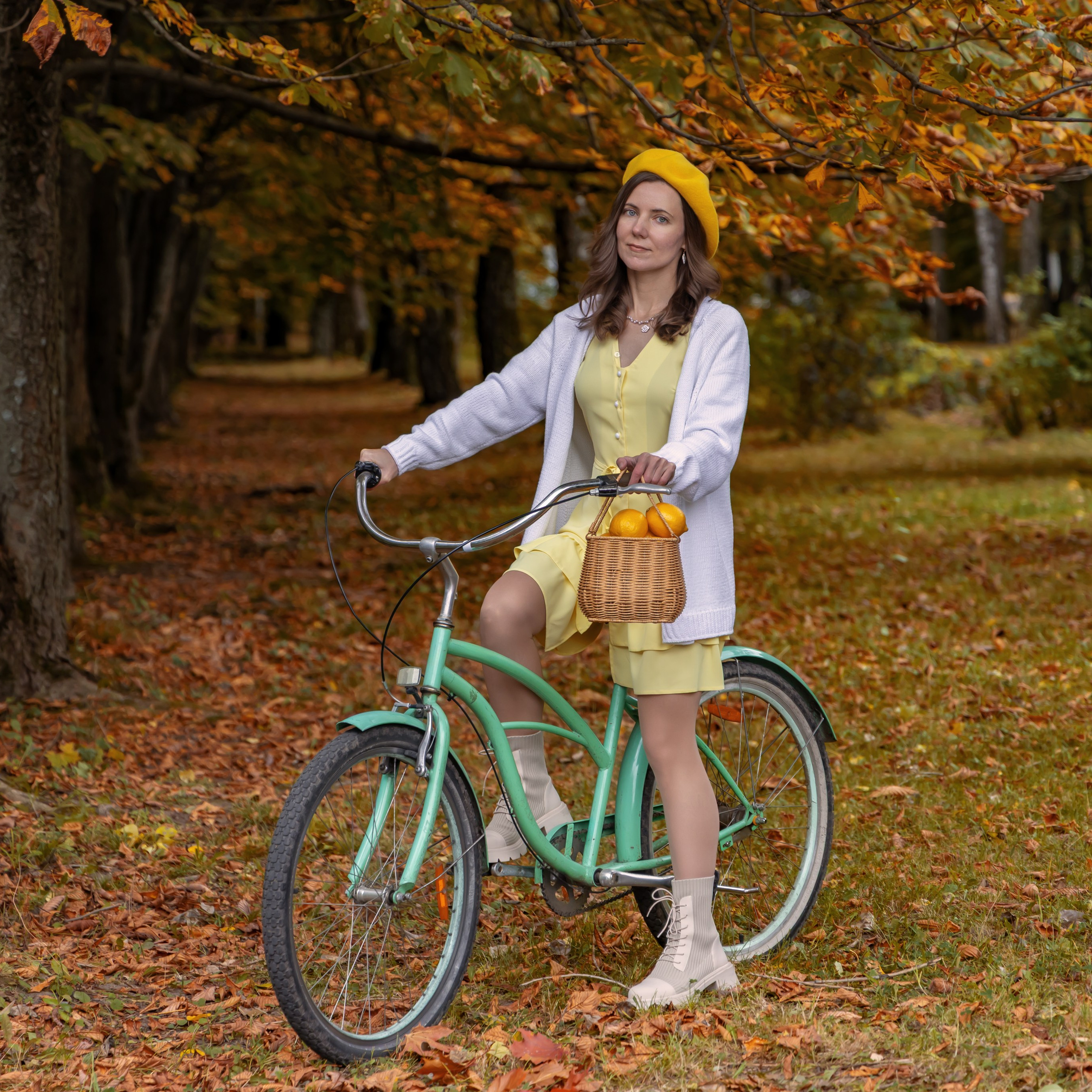 Жёлтая осень и ретро-велосипед