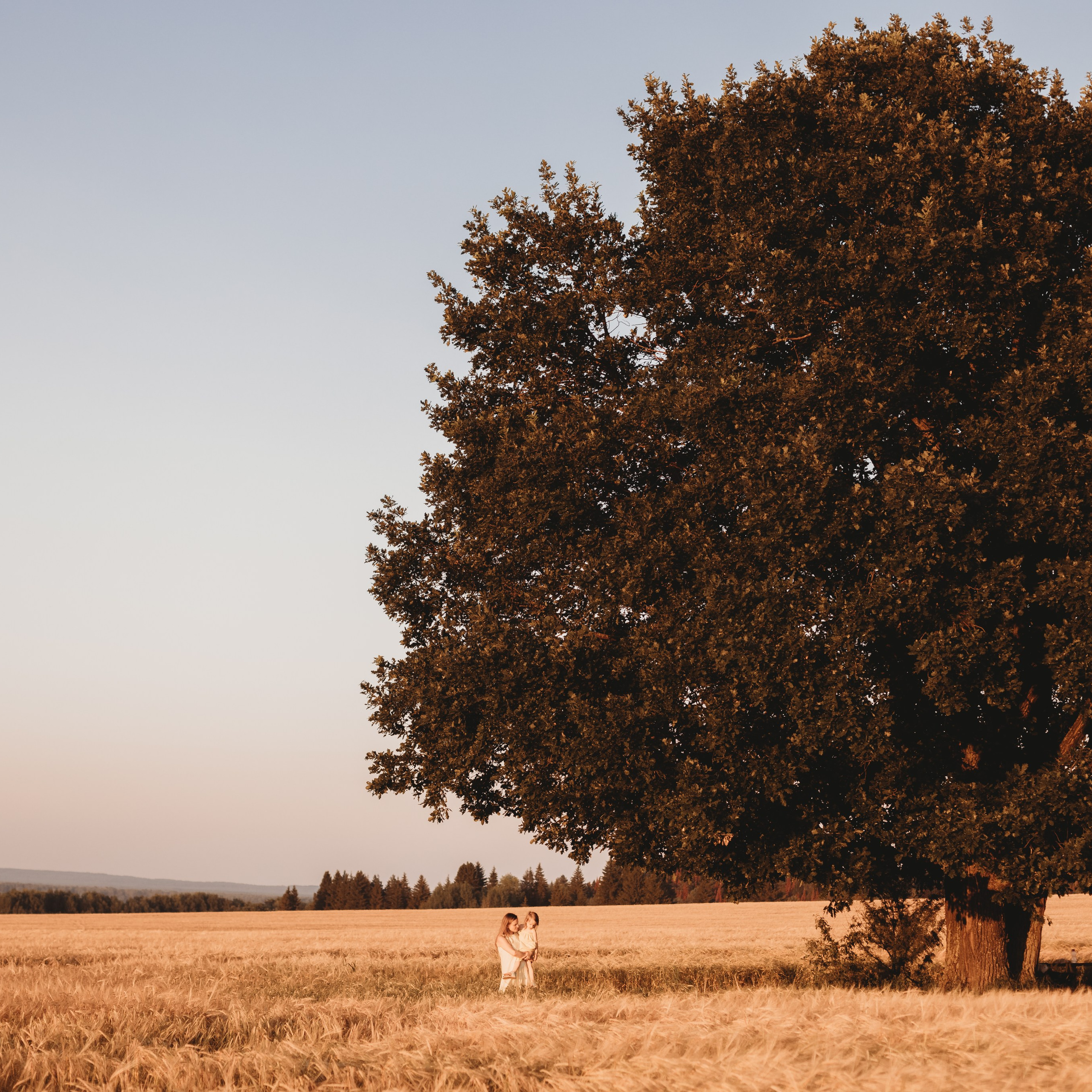 Отзывы. Фотограф новорожденных и беременности в Ижевске Светлана Рожкова