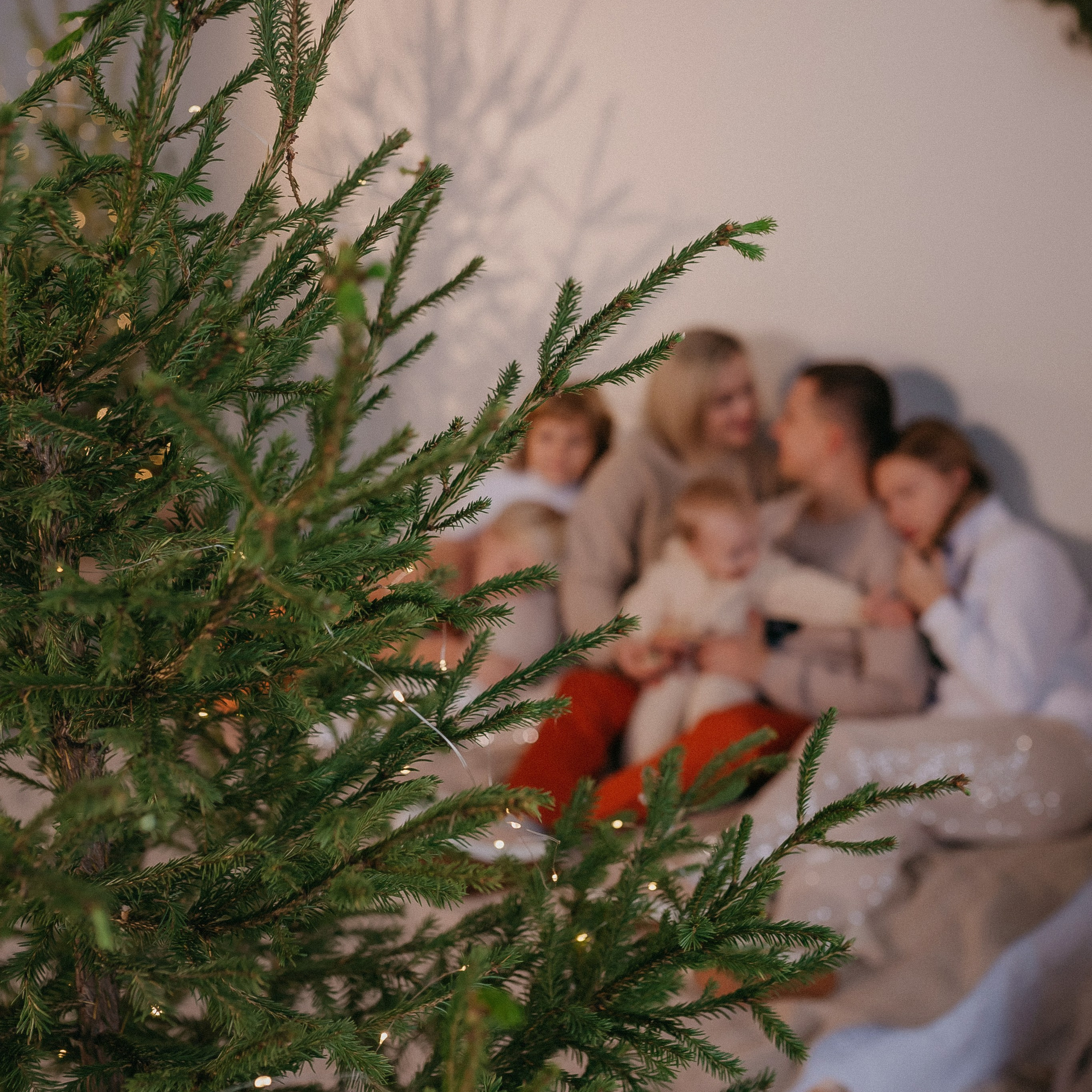 Женя и Лёша +4 Новогодняя