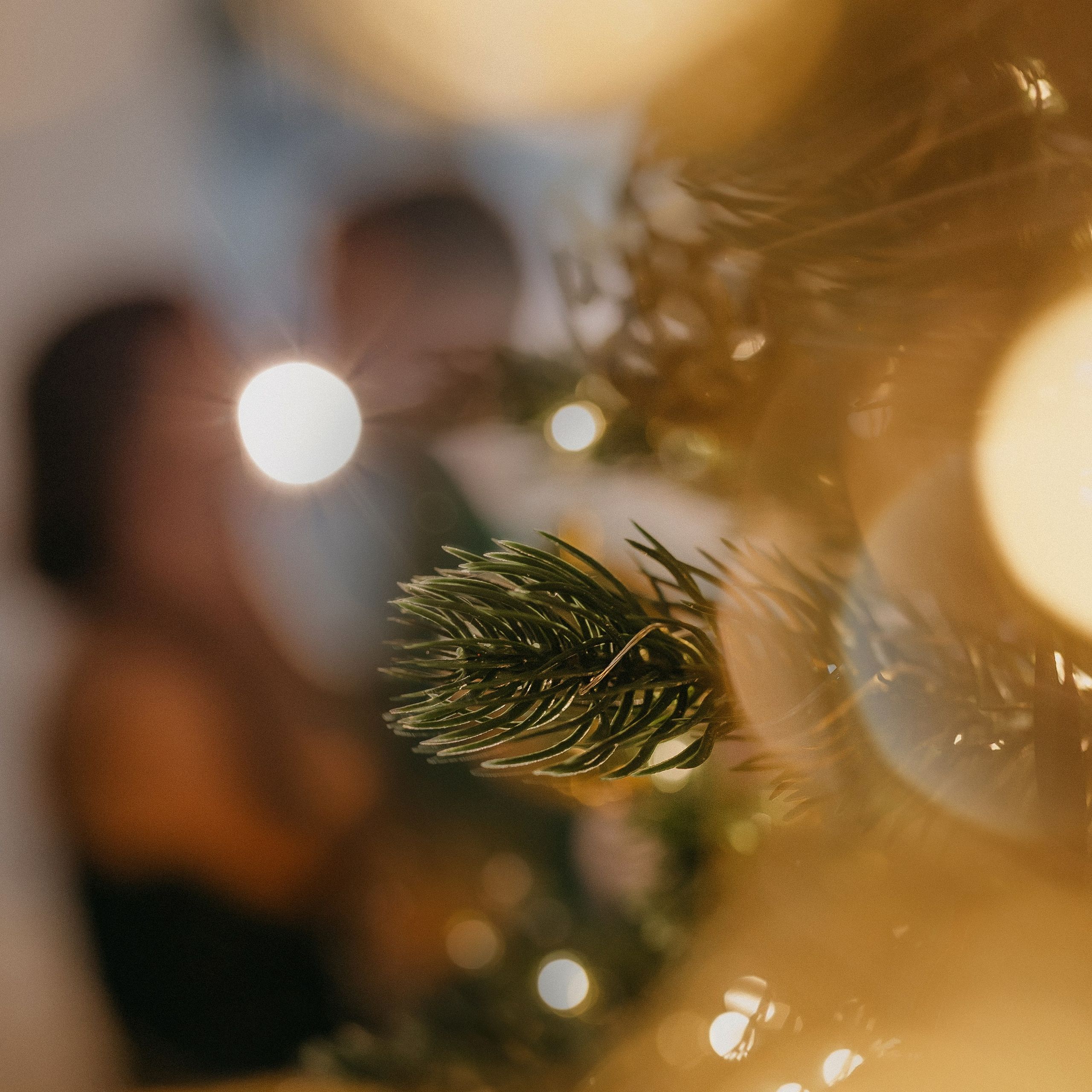 Сеня + Сашка