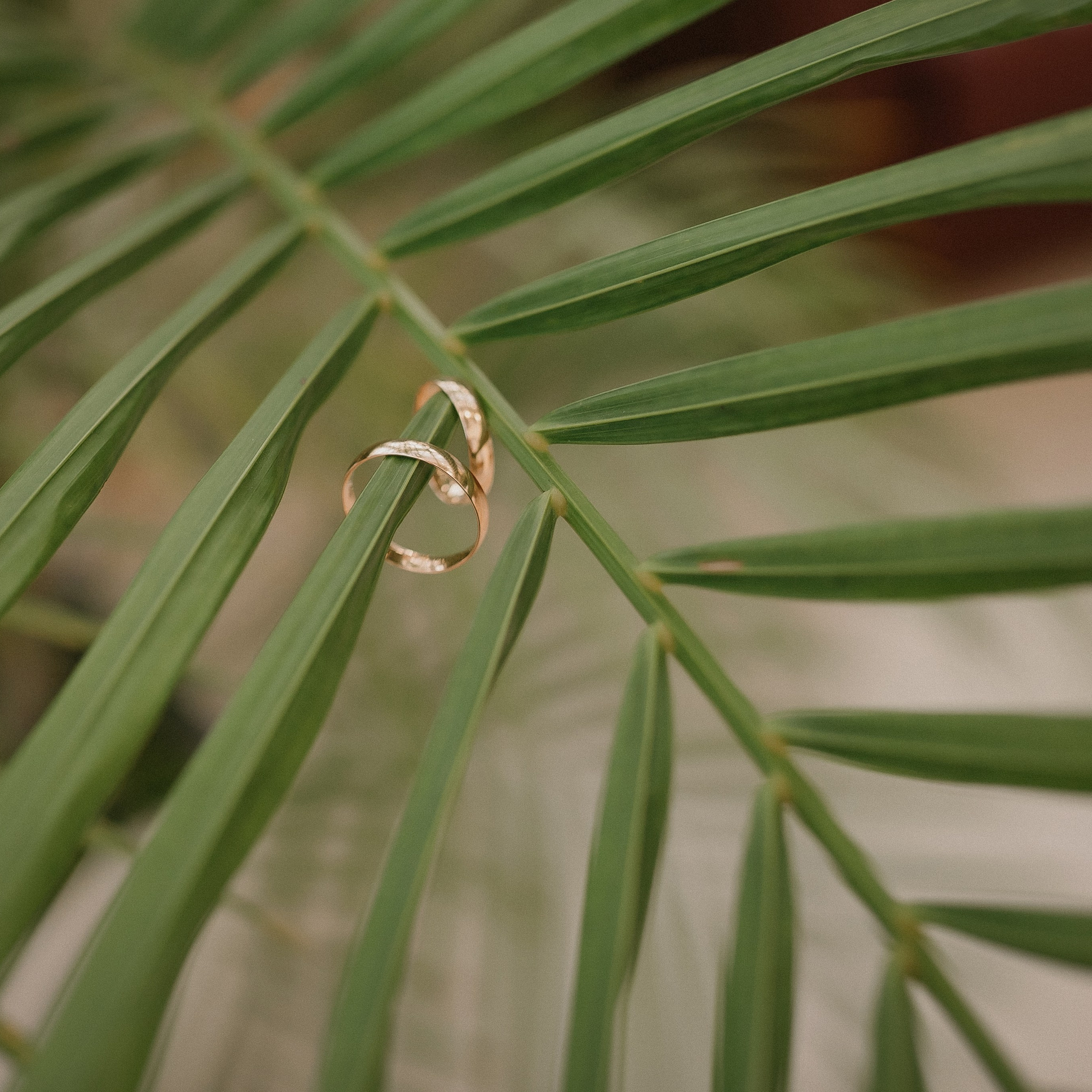 Отзывы. Семейный фотограф в Сургуте
