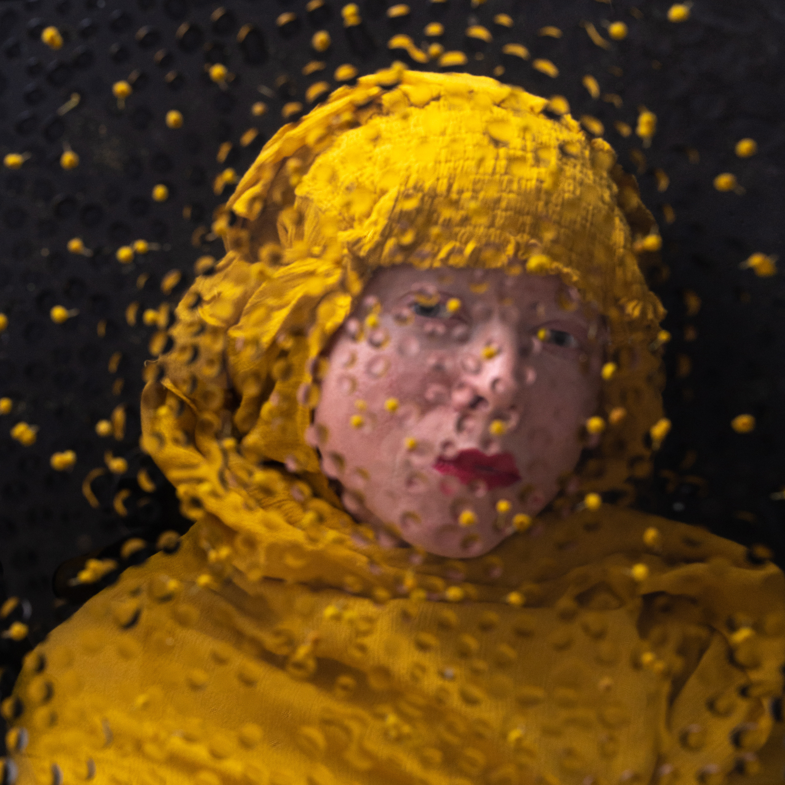 Мимоза
