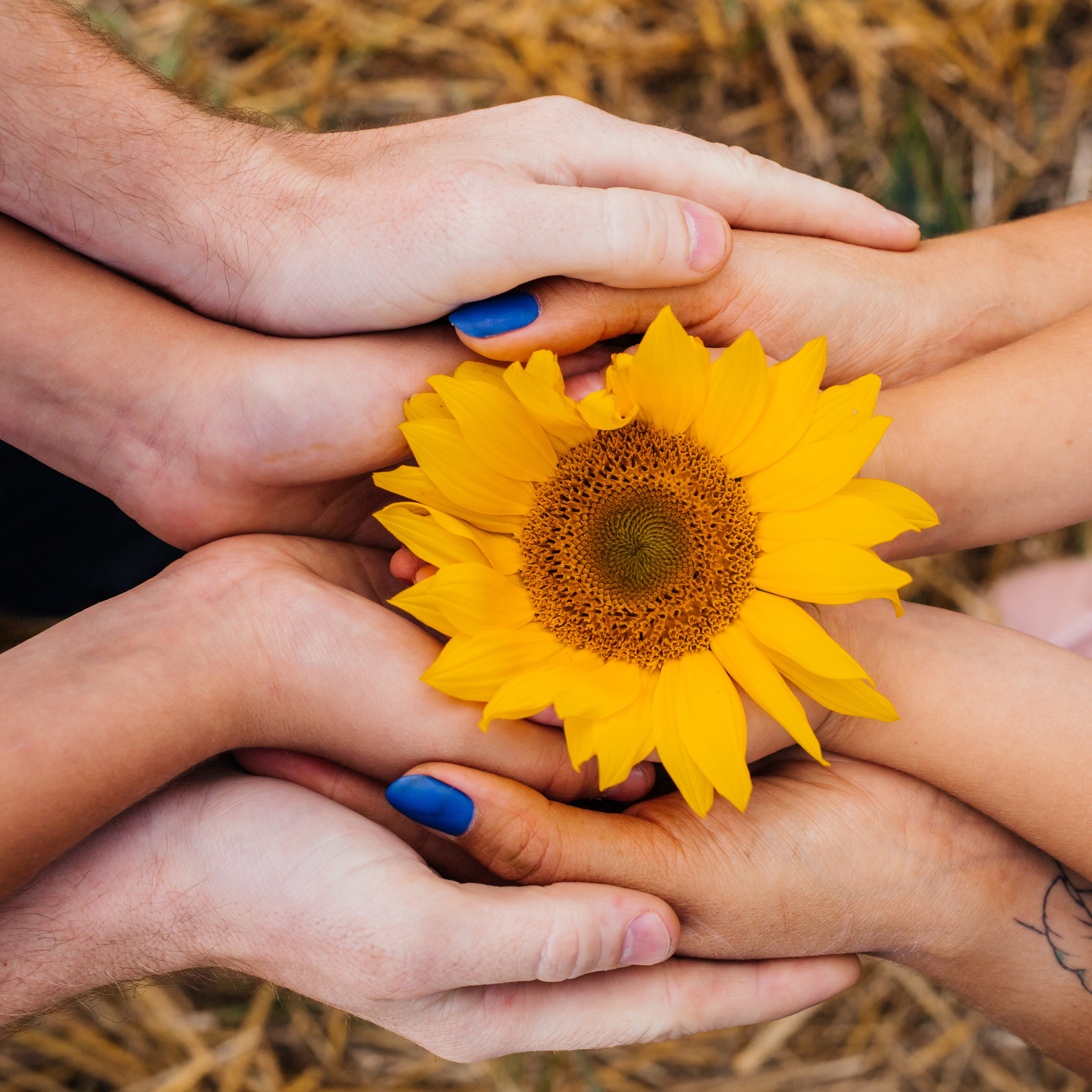 Отзывы. Коммерческий фотограф, ретушёр Анастасия Пачина