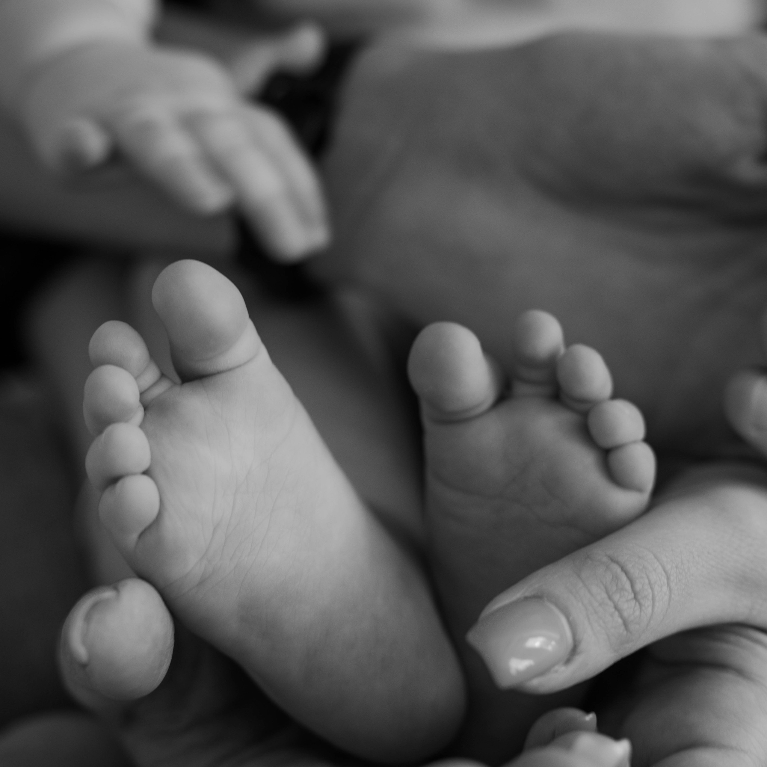 ПРАЙС. Свадебный фотограф в Воронеже Самохина Екатерина