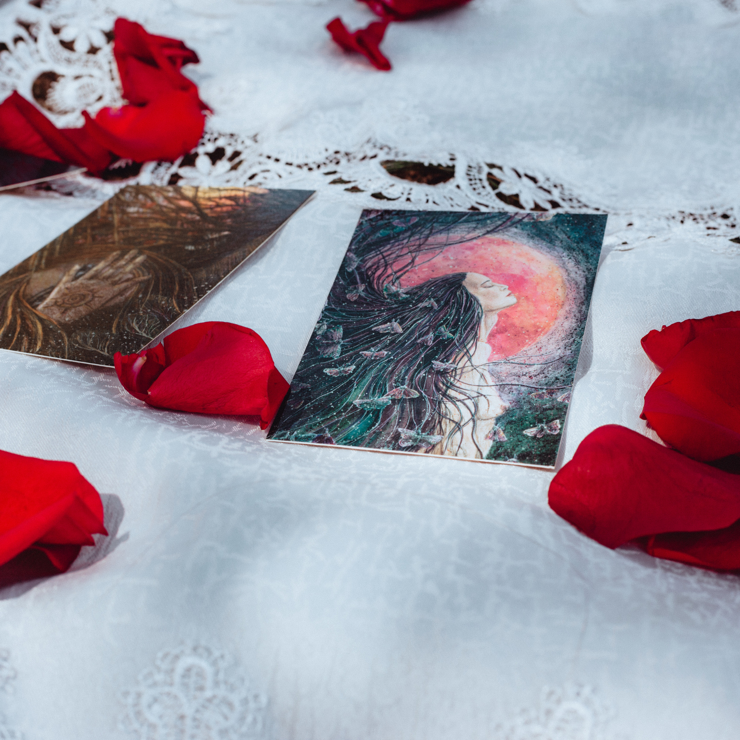 Отзывы. Фотограф Старый Оскол Мавлыга Мария