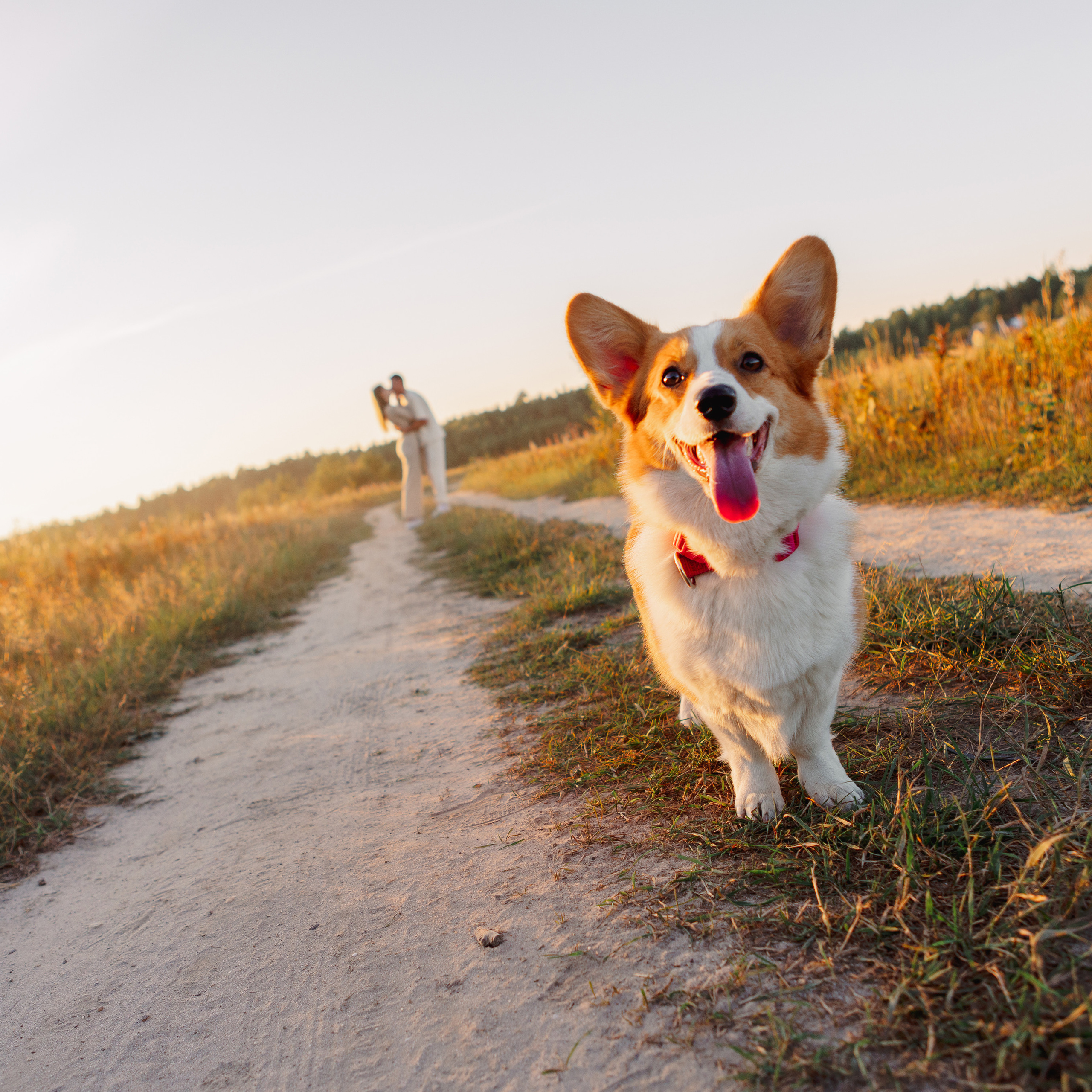 Отзывы. Свадебный и семейный фотограф Нина Насибуллина Югорск и Екатеринбург