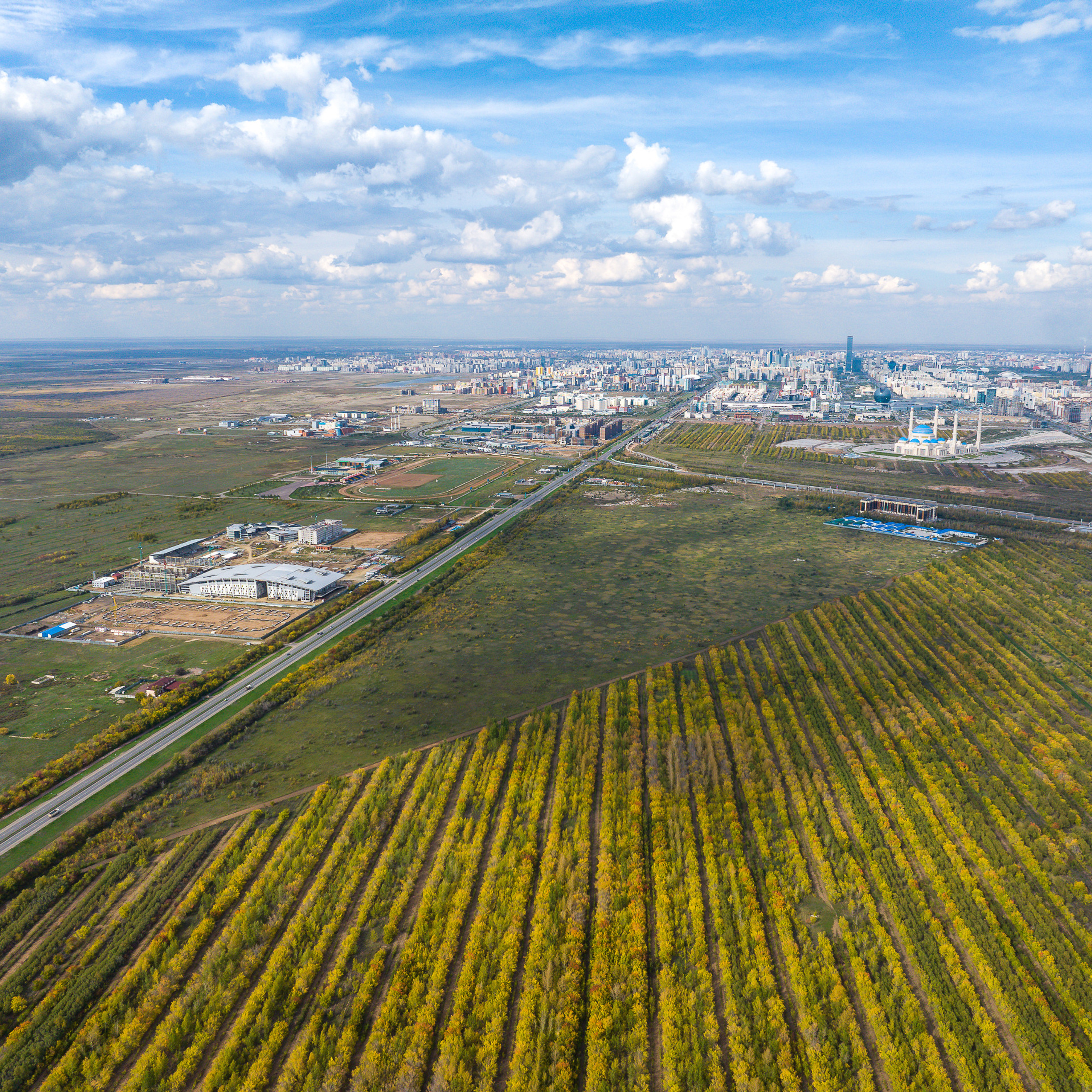 Отзывы. Фотограф-дизайнер Лейла Кабди
