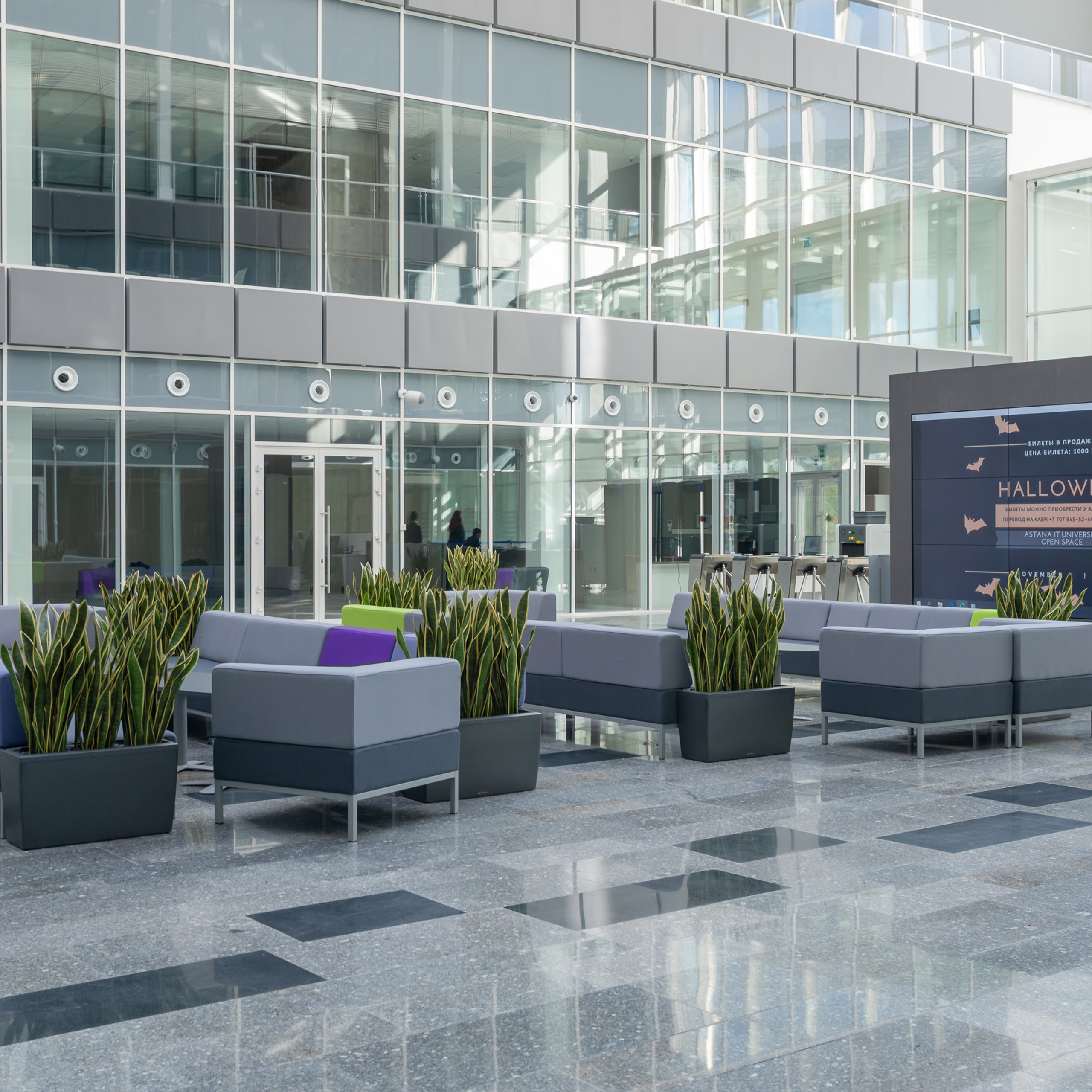 Презентационная съемка IT UNIVERCITY