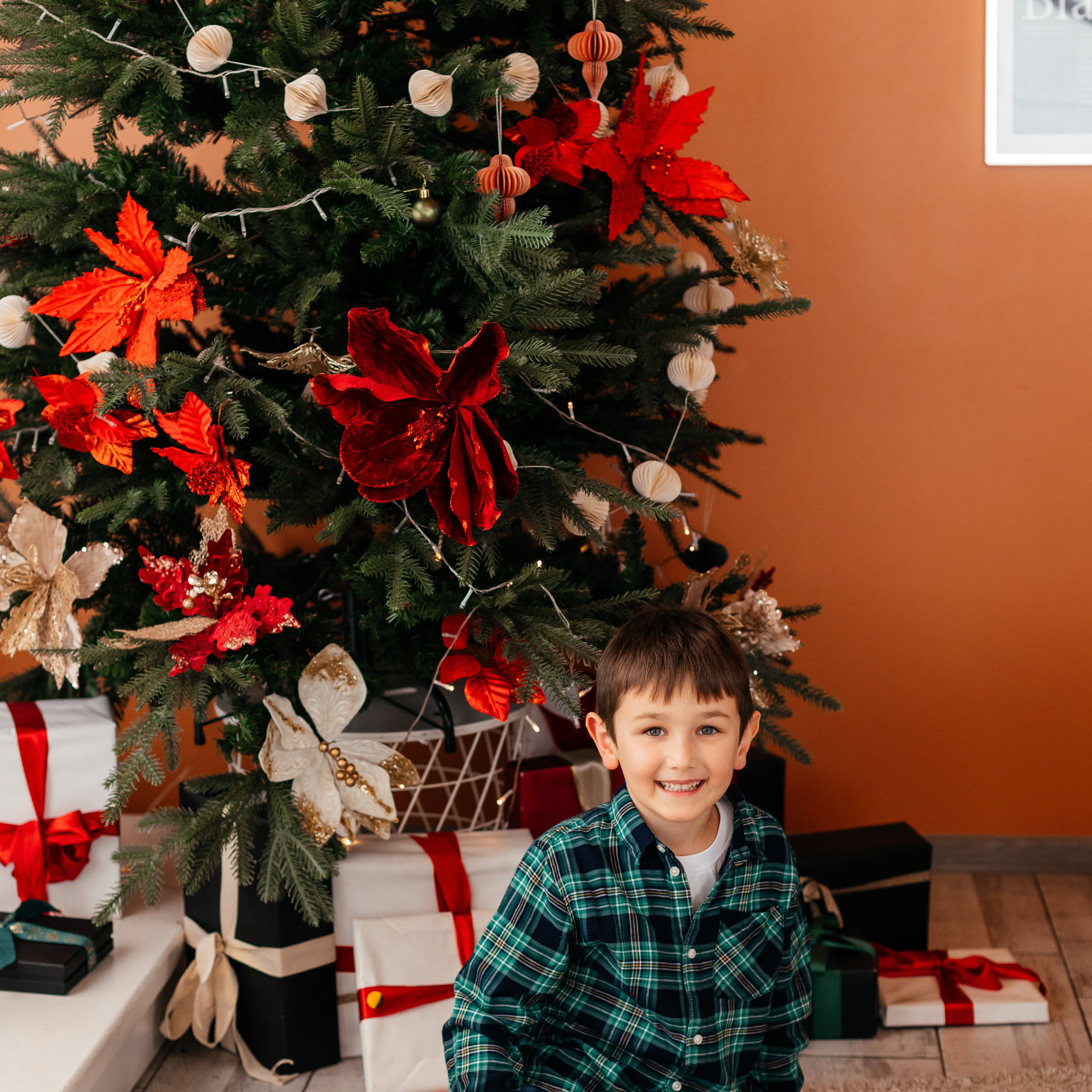 Новгодняя фотосессия. Студия Simpl