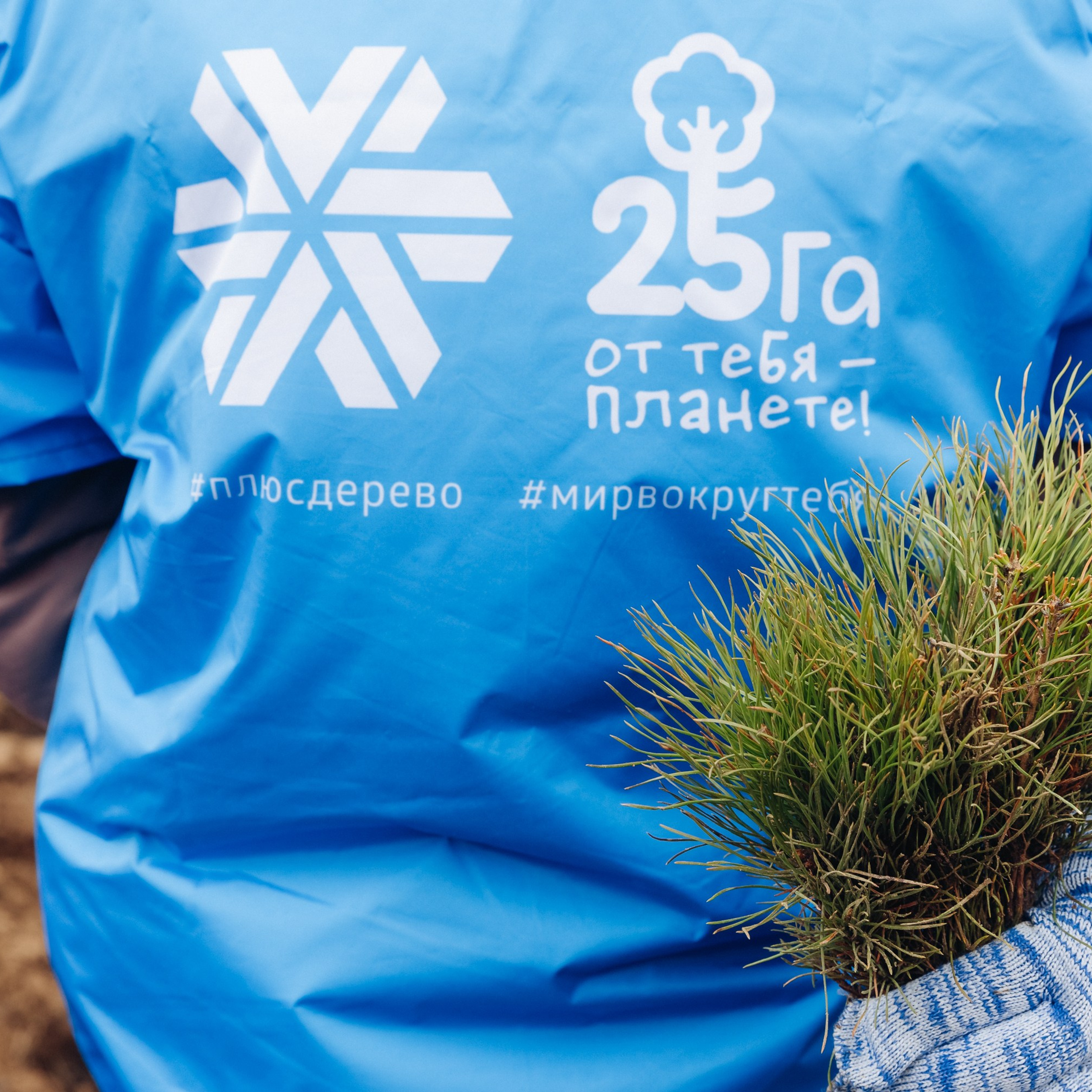 Siberian wellness. Ежегодная акция по посадке деревьев.