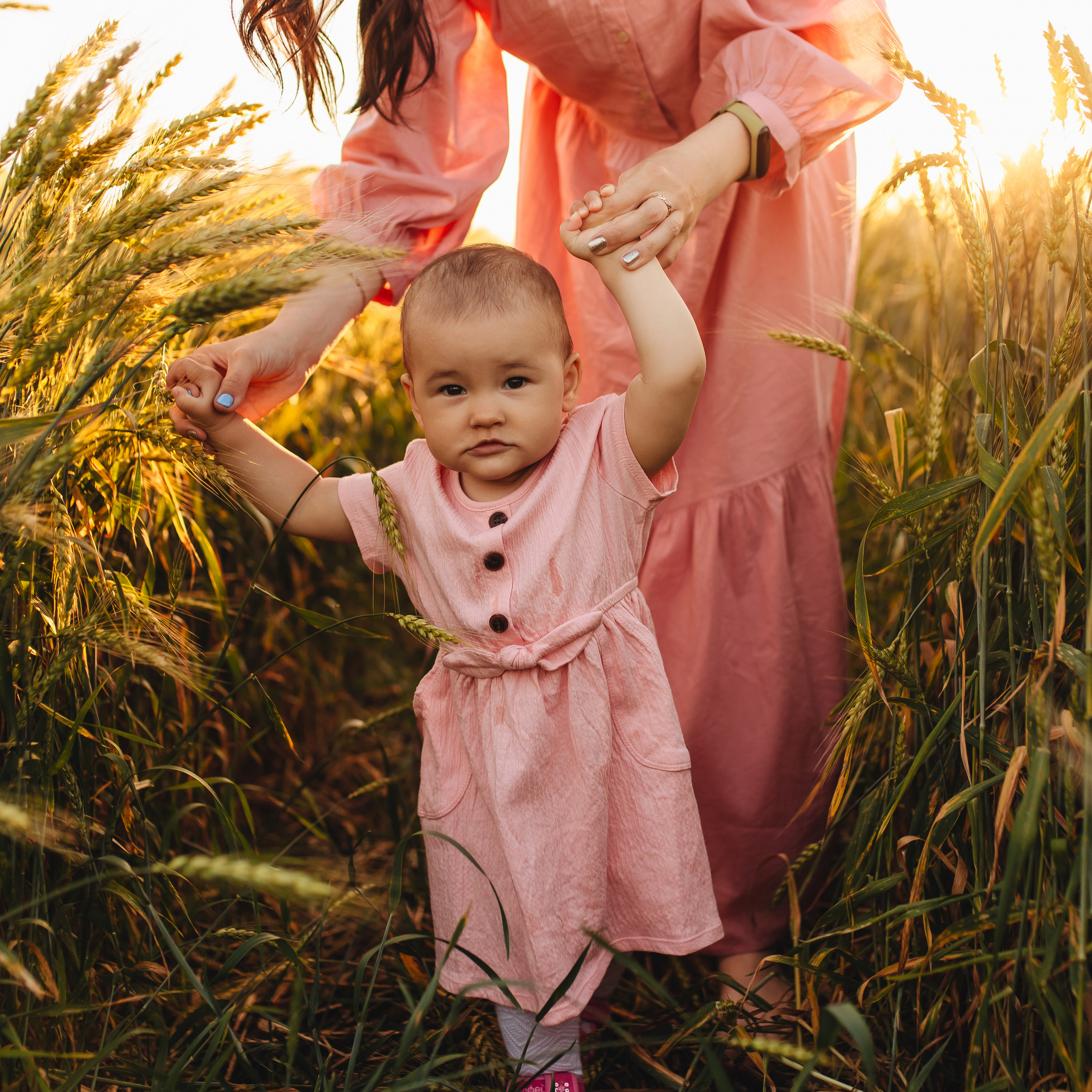 Закатное поле