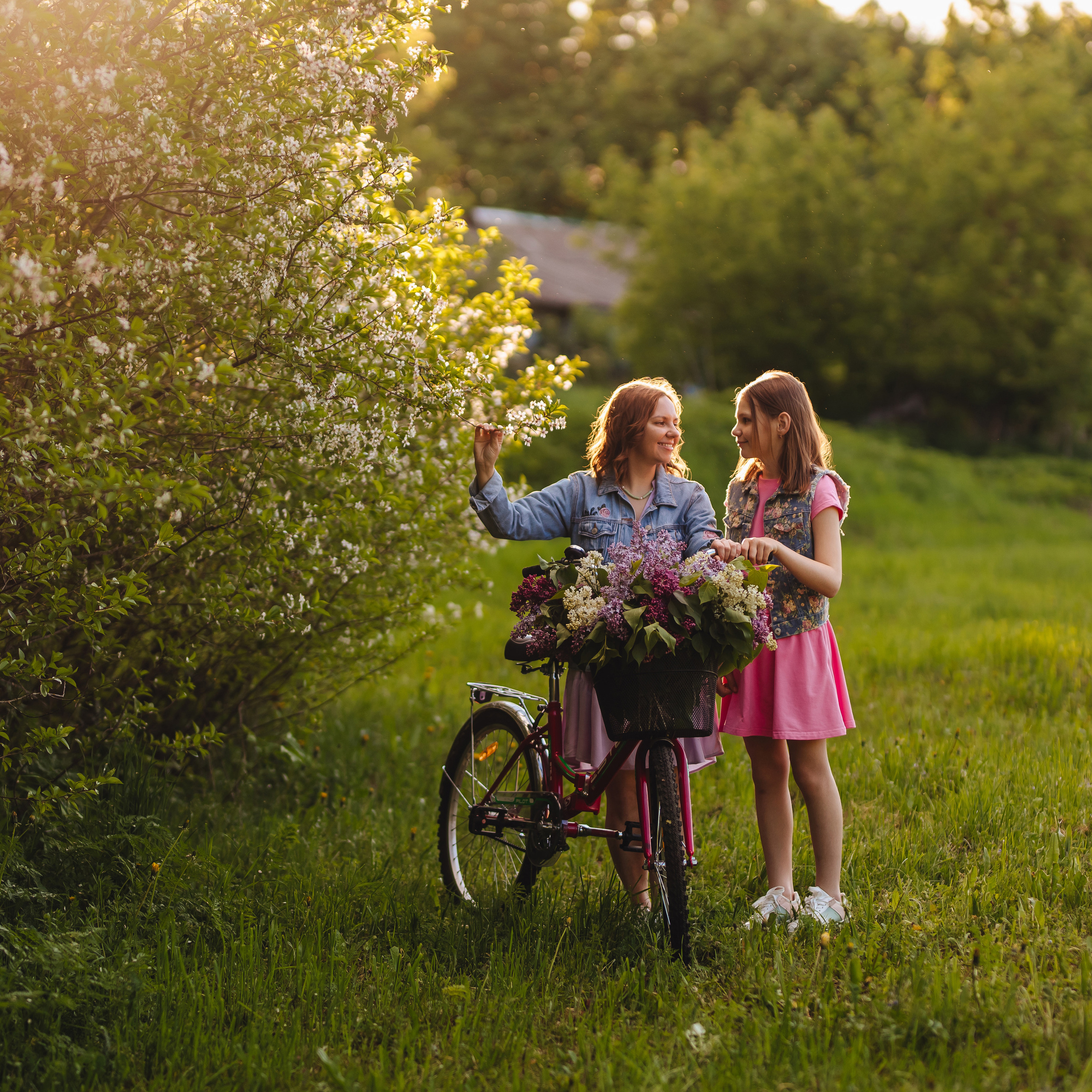 На закате в деревне