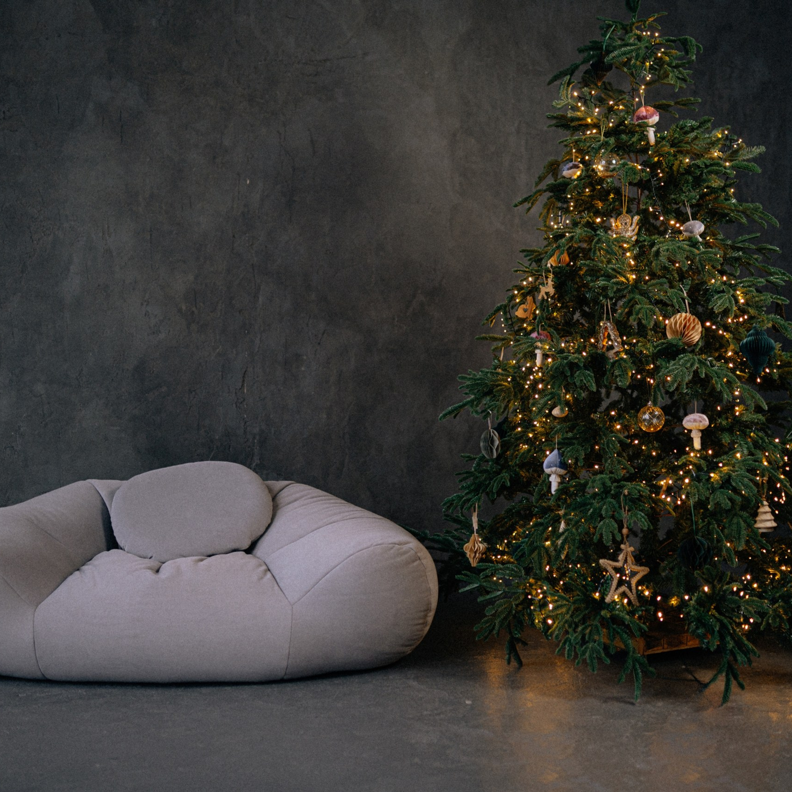 Новогодние локации 2026. Свадебный и семейный фотограф в Туле и области Маша Костина