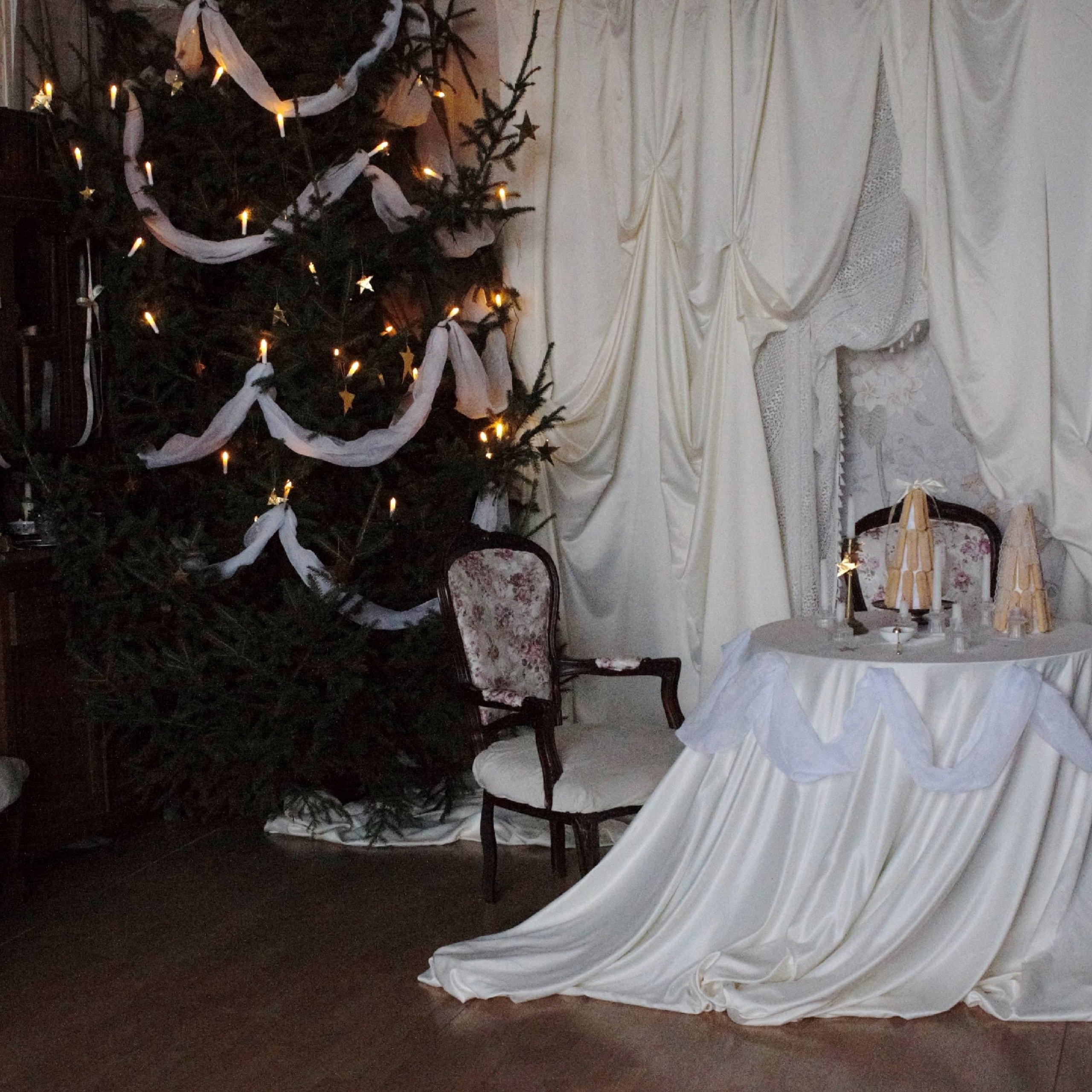 Новогодние локации 2026. Свадебный и семейный фотограф в Туле и области Маша Костина