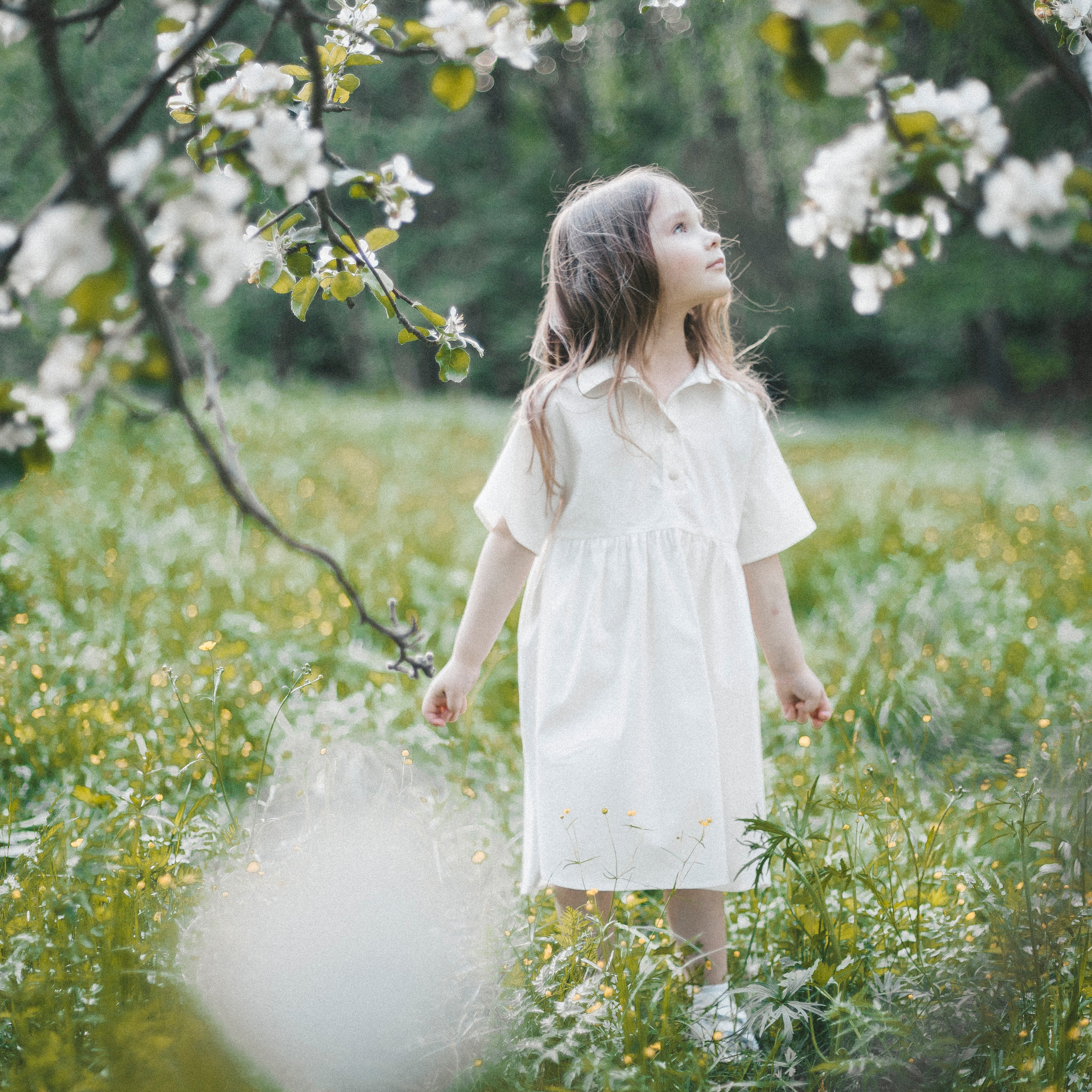 Отзывы о фотосессиях. Фотограф Екатерина Цаплина. Семейный фотограф в Москве Екатерина Цаплина
