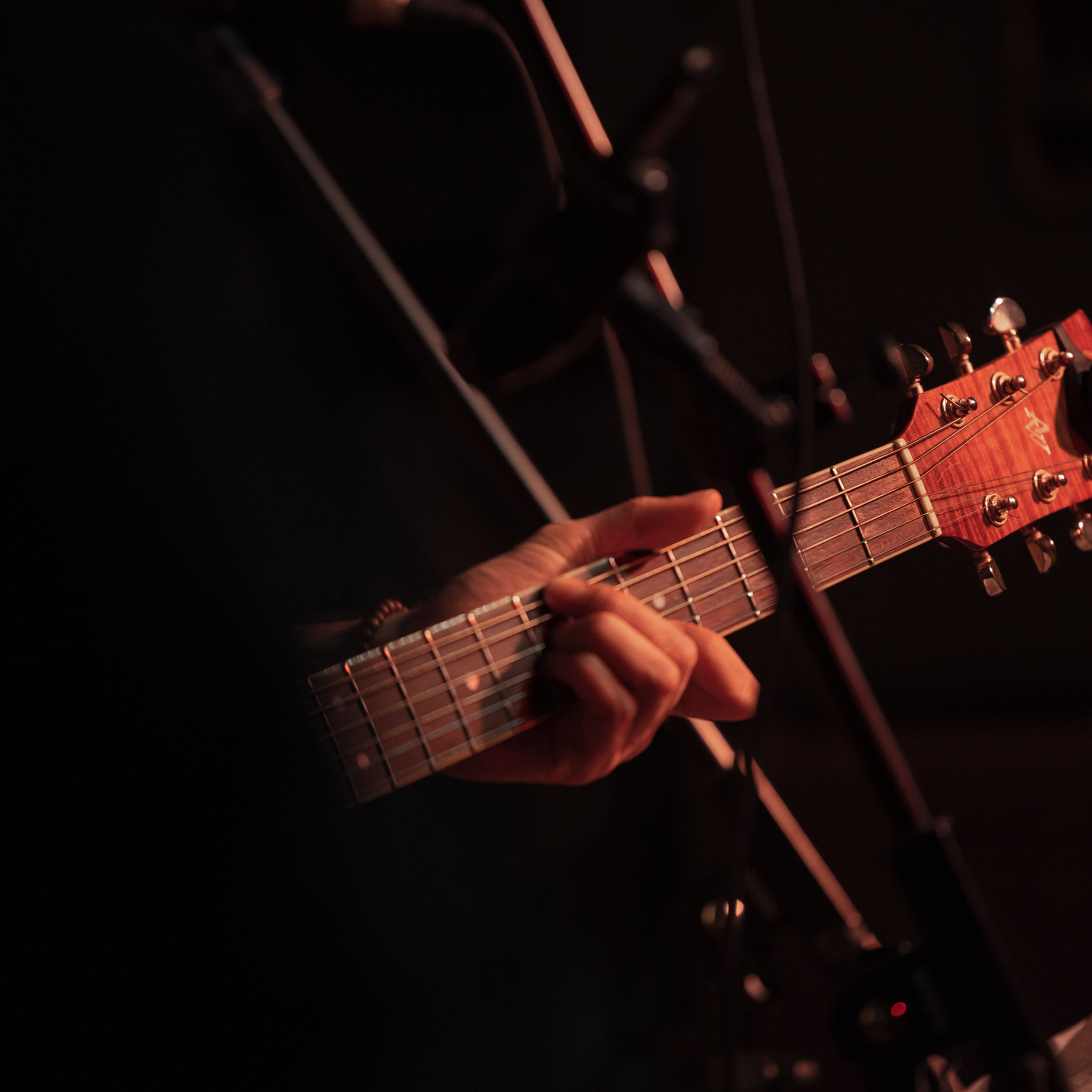 Отзывы. Gallery of aesthetics