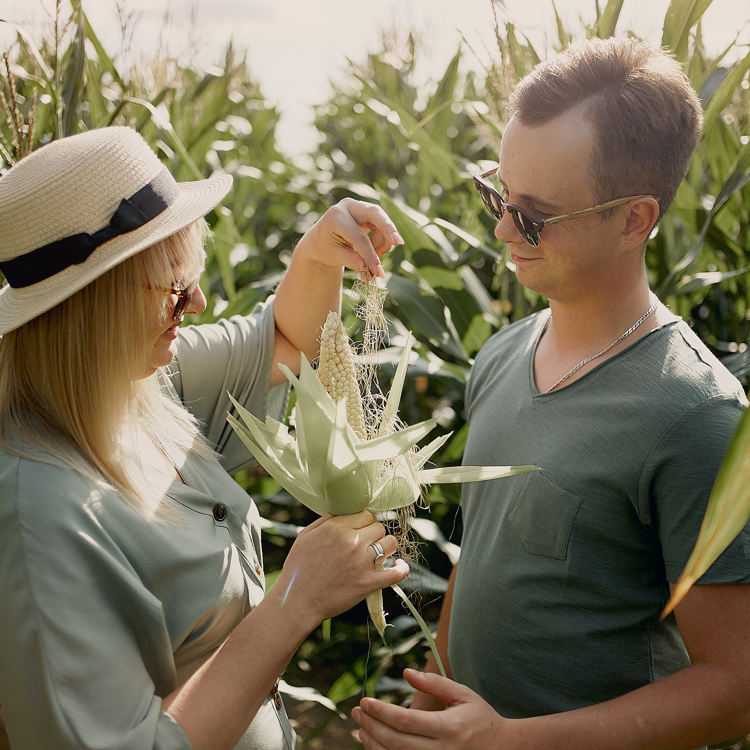 Кукурузная романтика