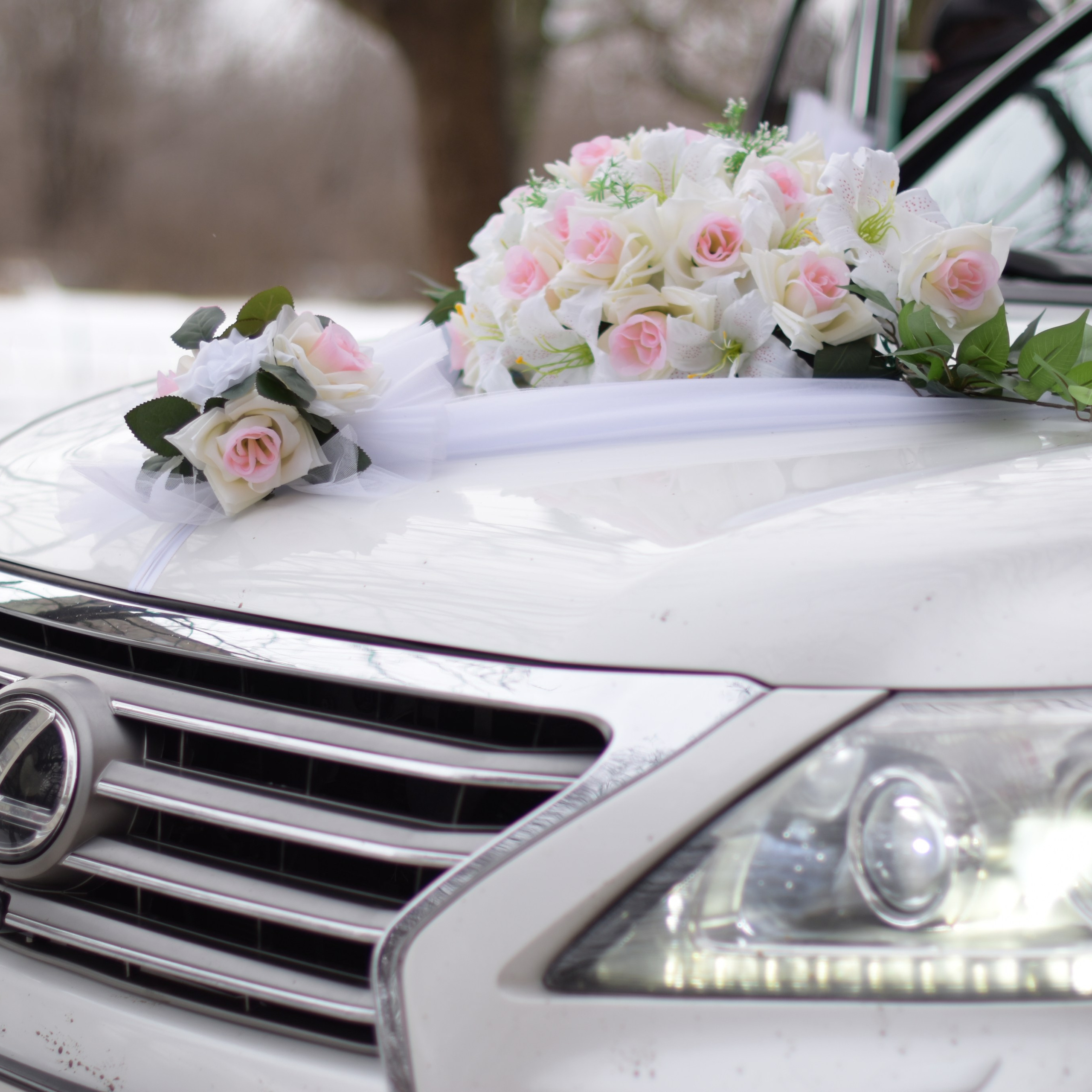 Отзывы. Свадебный видеограф Анна Малервейн в Донецке