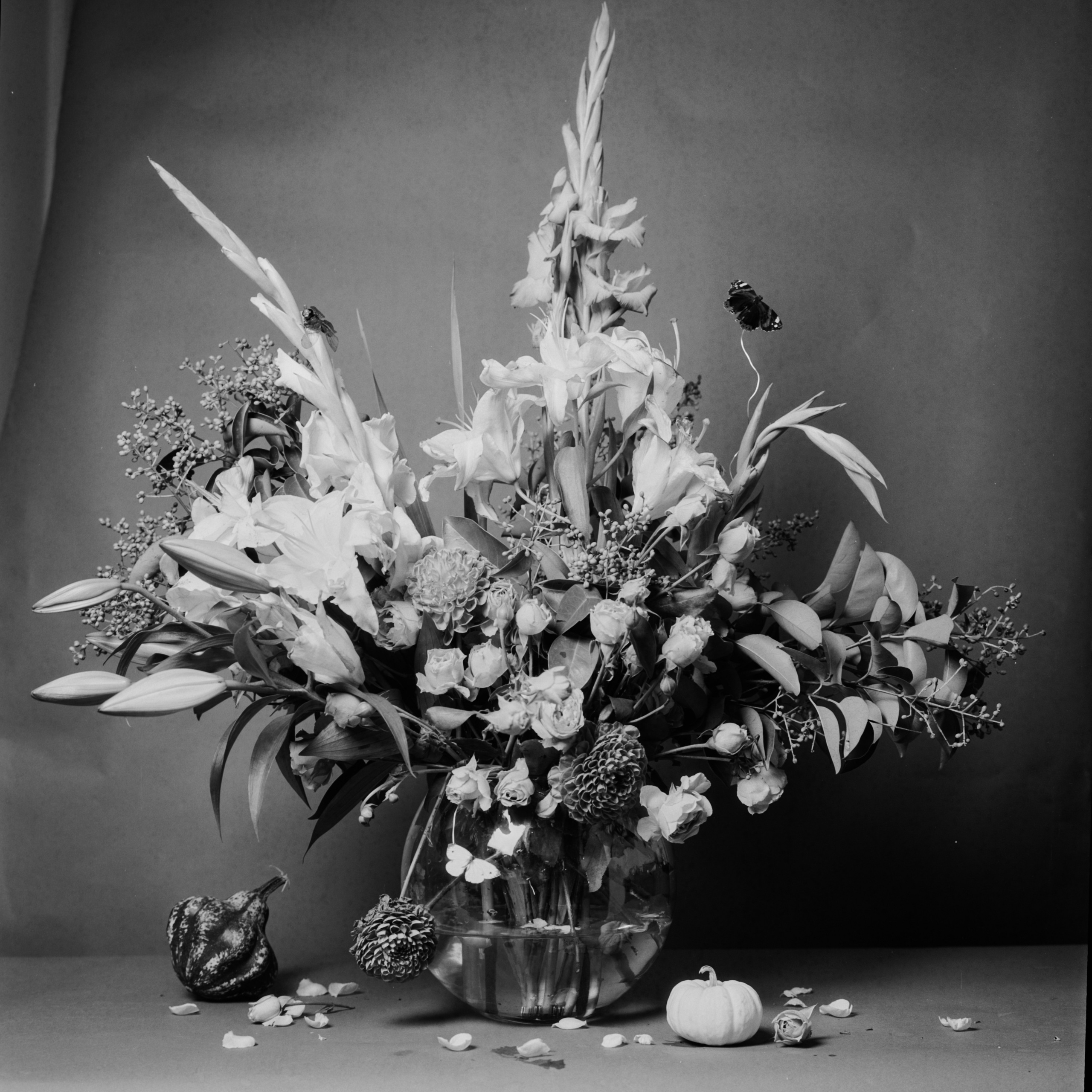 Letter for my future wife. Daria Blinova