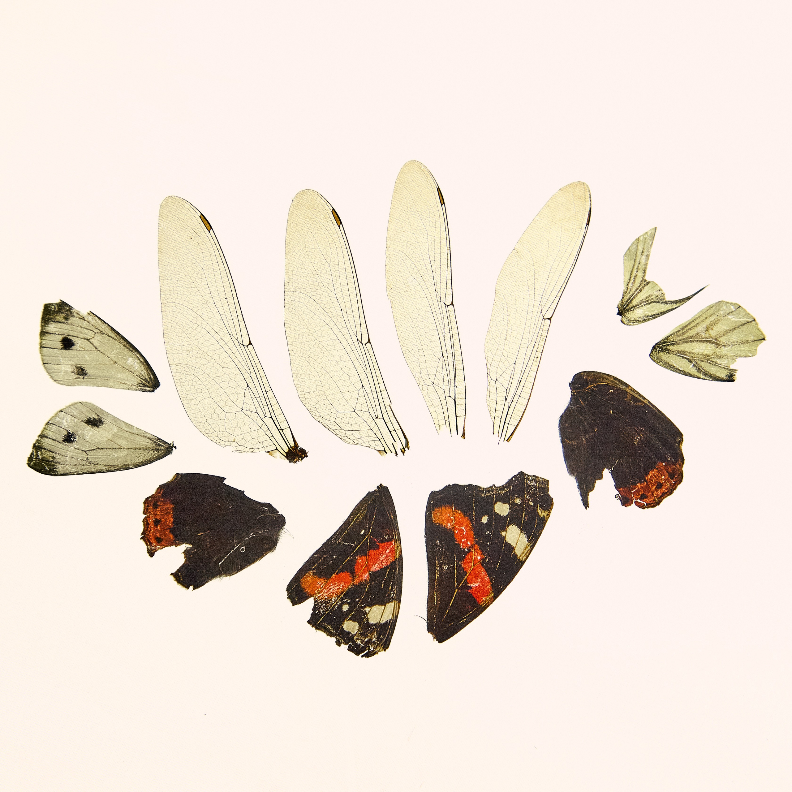 Letter for my future wife. Daria Blinova