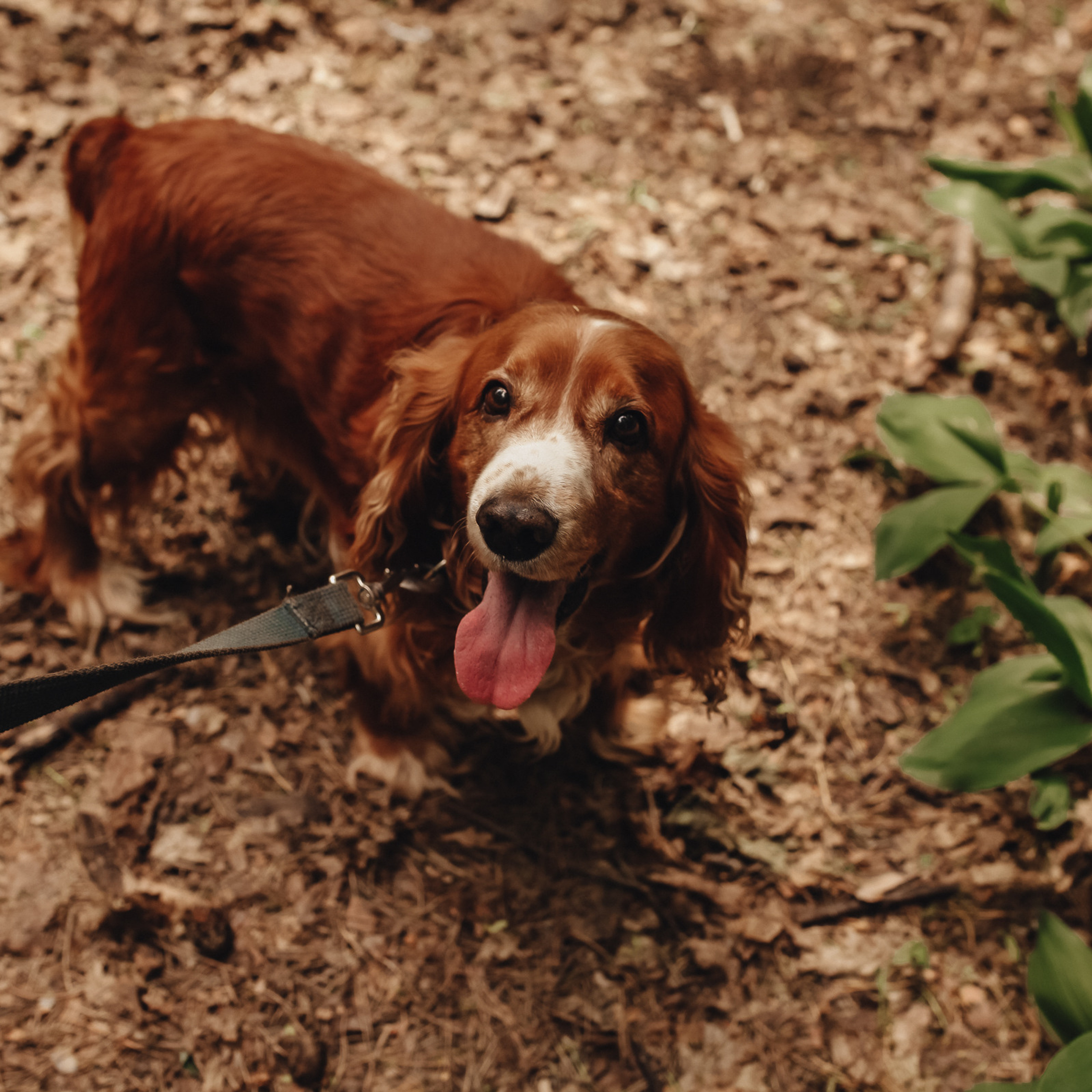 Отзывы. Свадебный и семейный фотограф в Тольятти