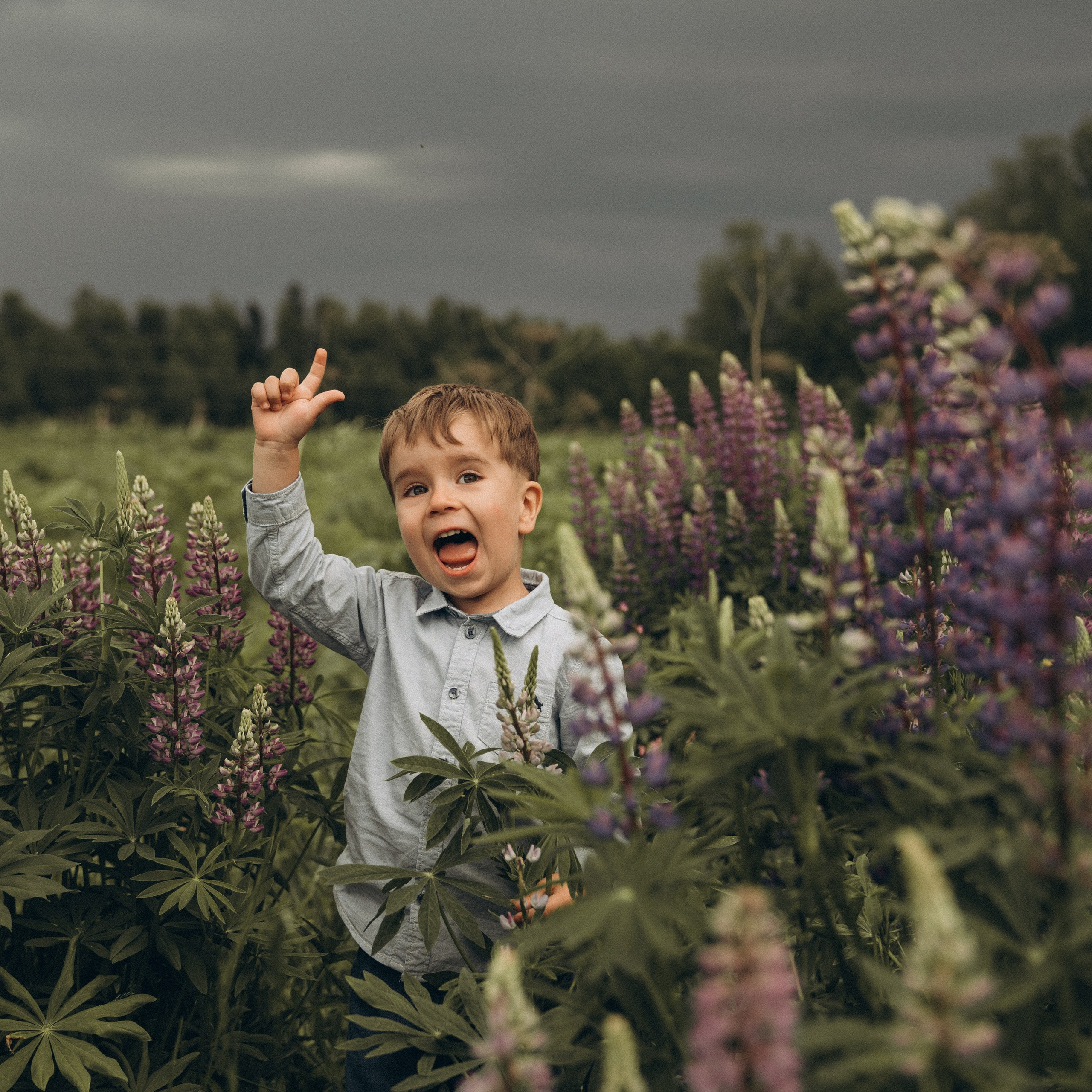 Люпиновая пора