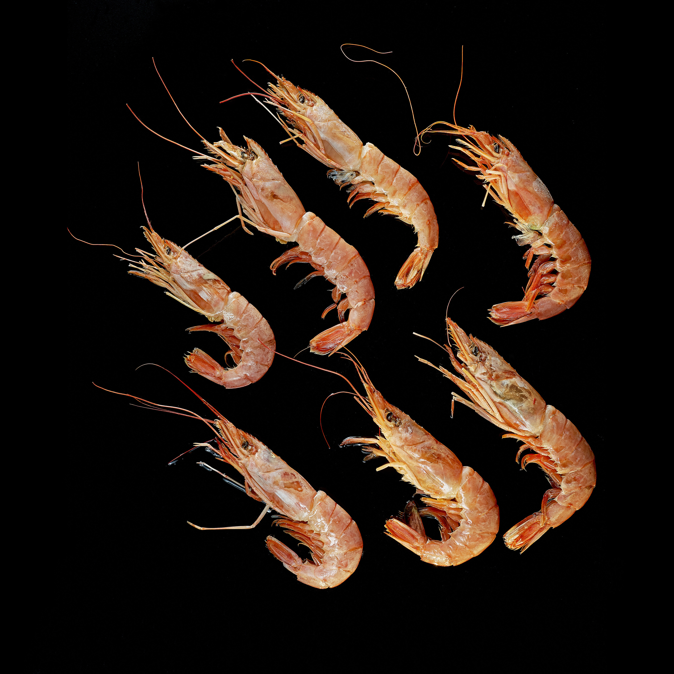 Съёмка для каталогов, сайтов, меню