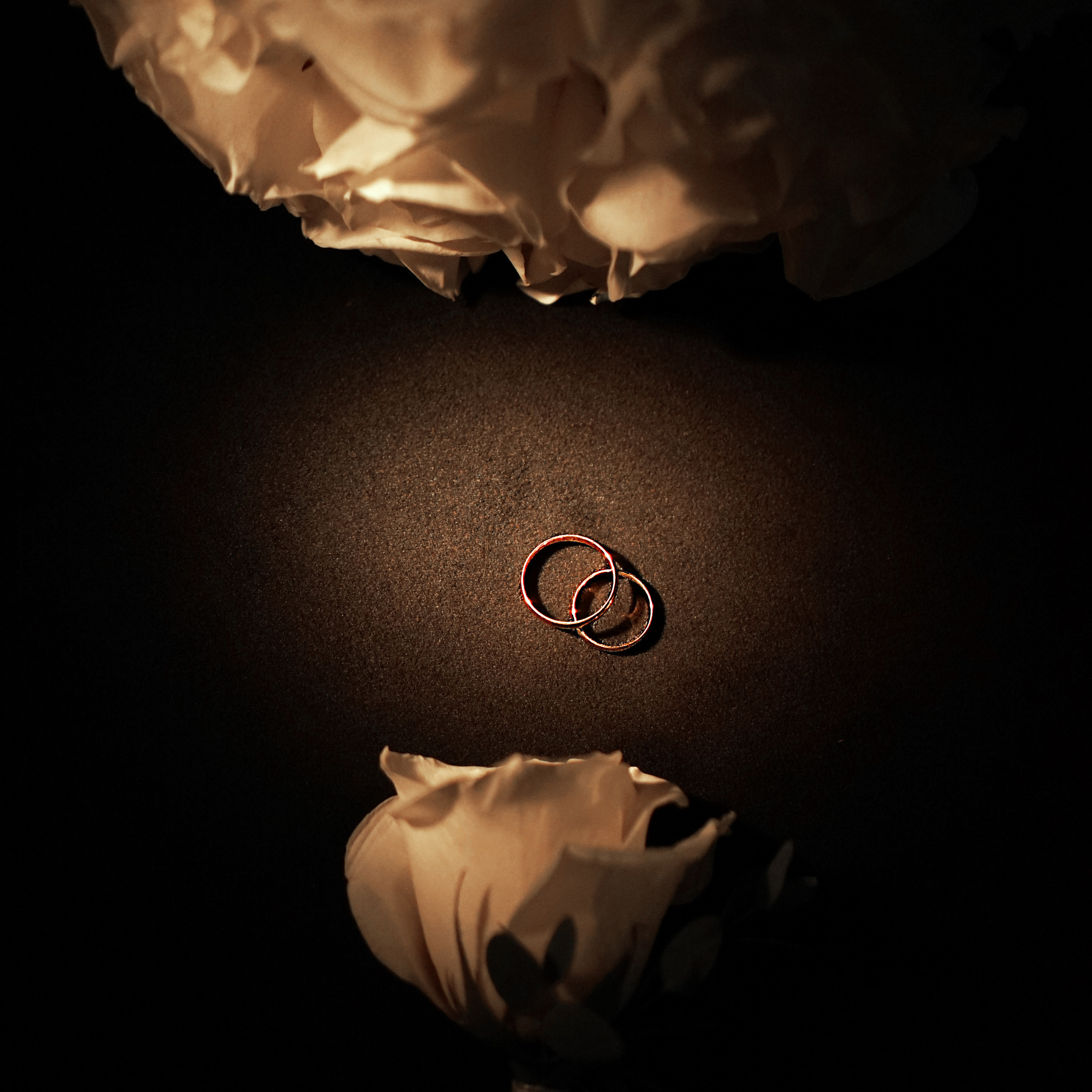 Отзывы. Семейный и детский фотограф Татьяна Кытманова