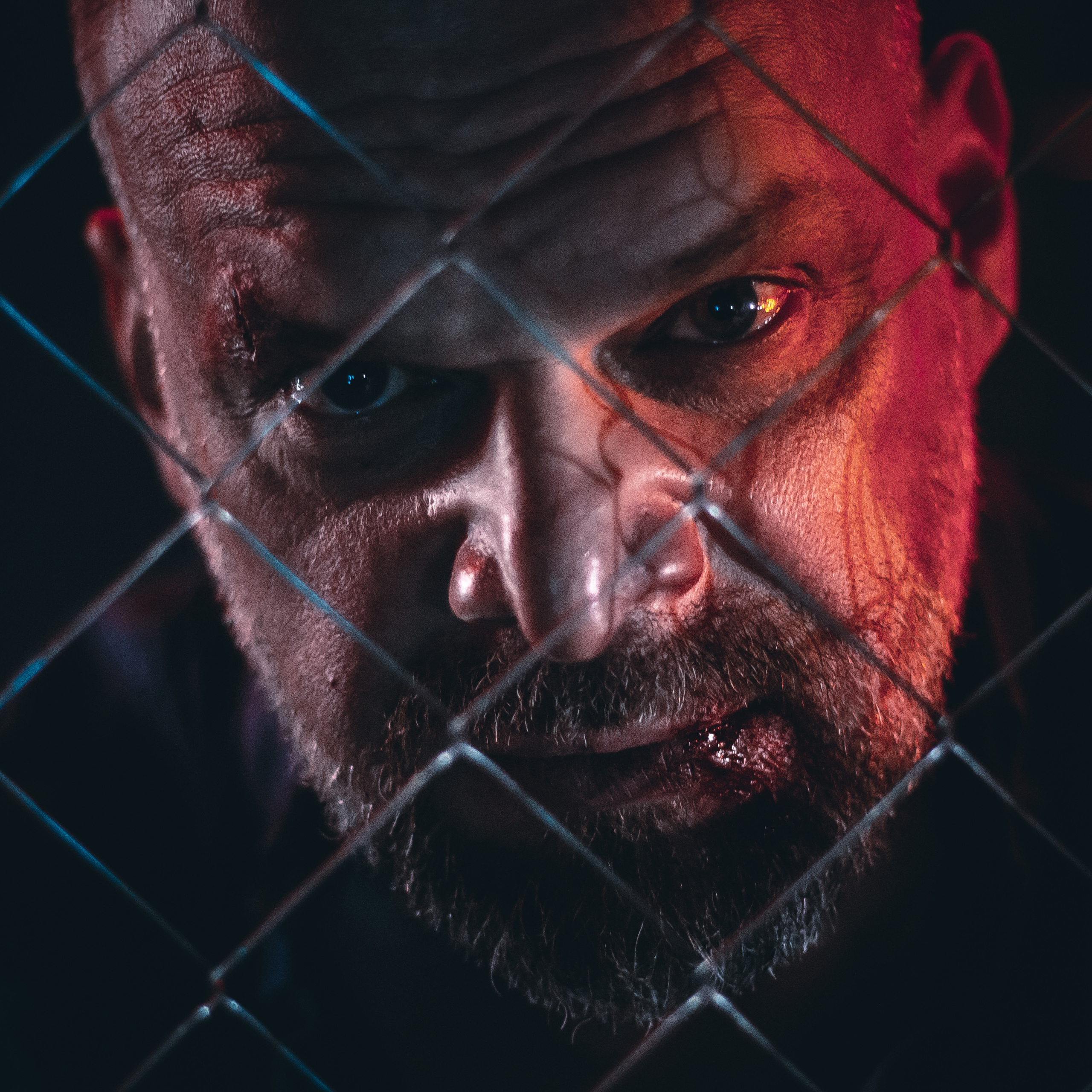 STUDIO — B1BOX. MOVIE FAMILY PRODUCTION