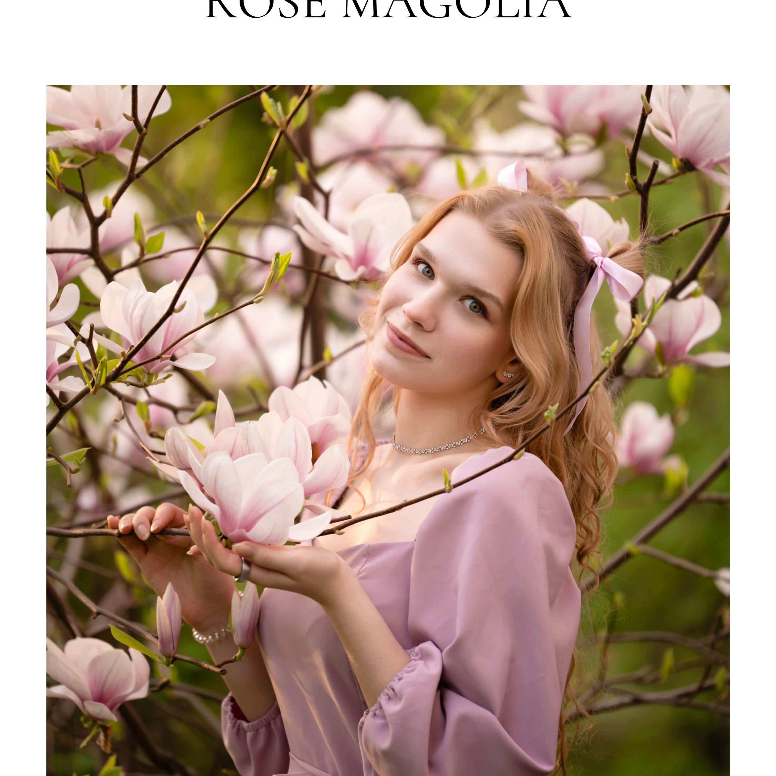 Rose magnolia
