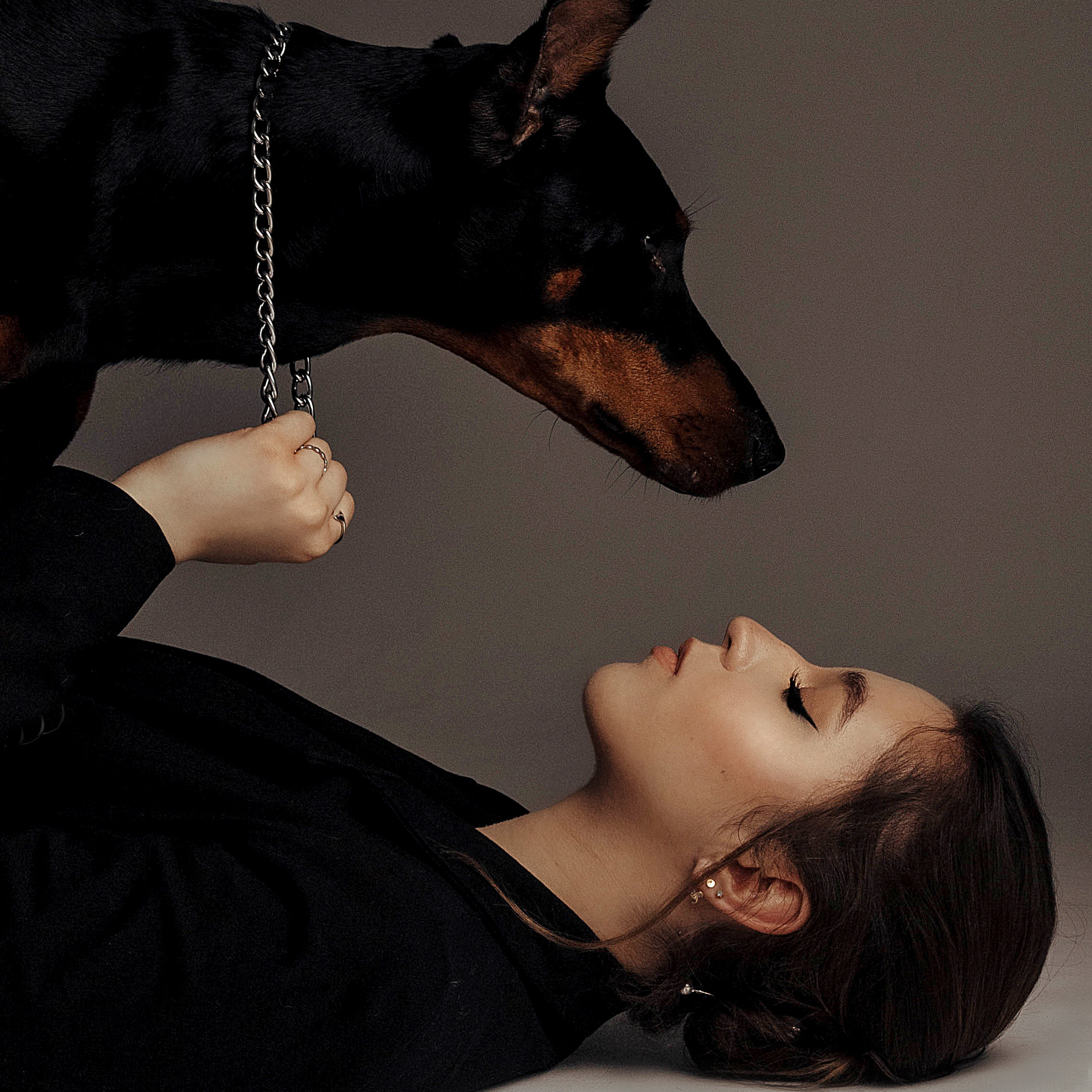 Съемка с доберманом