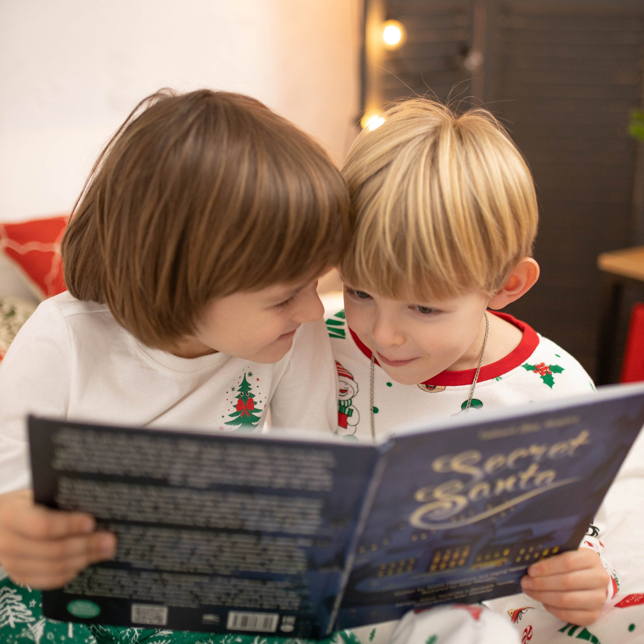 Никита и Федор (новогоднее)