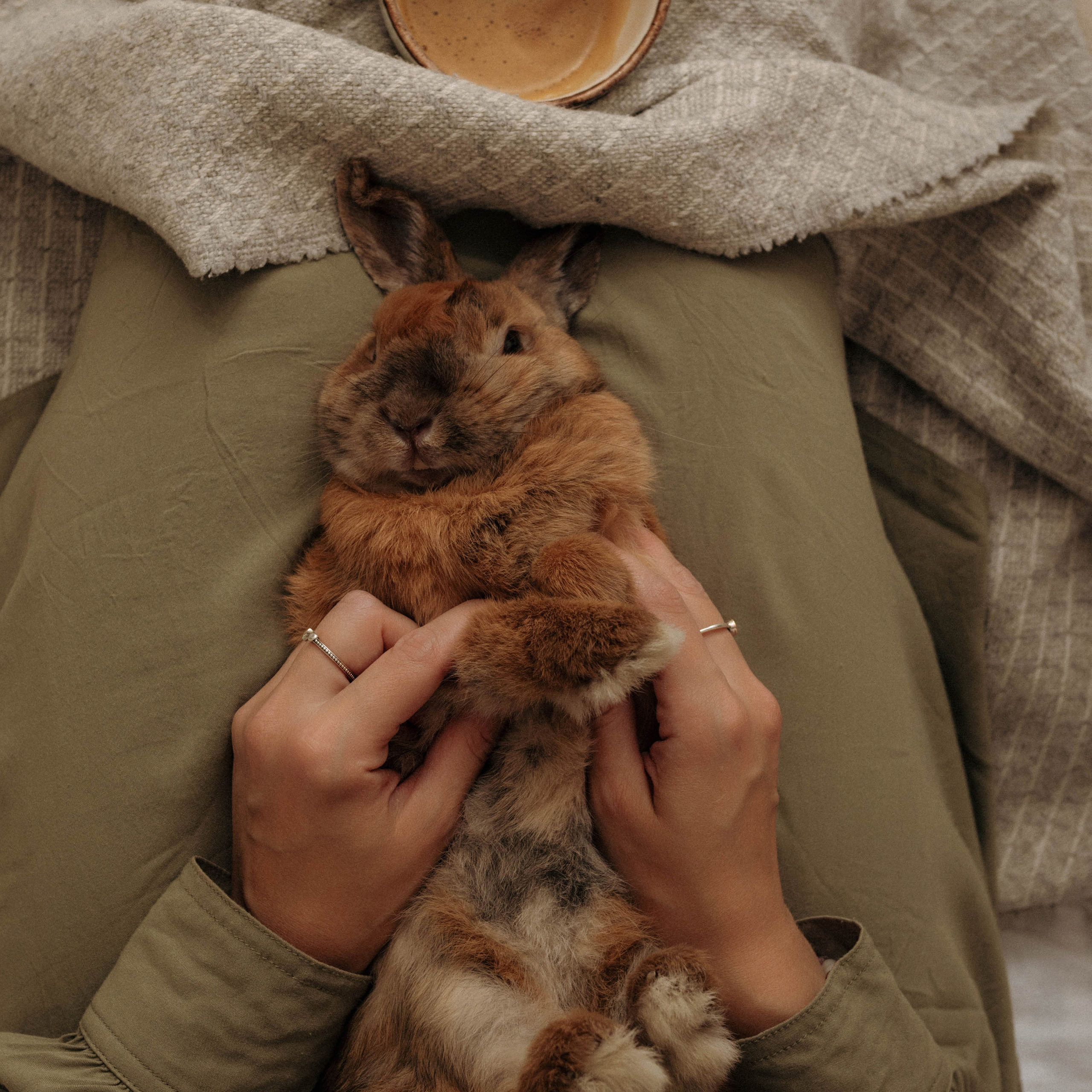 Анастасия (семейная)