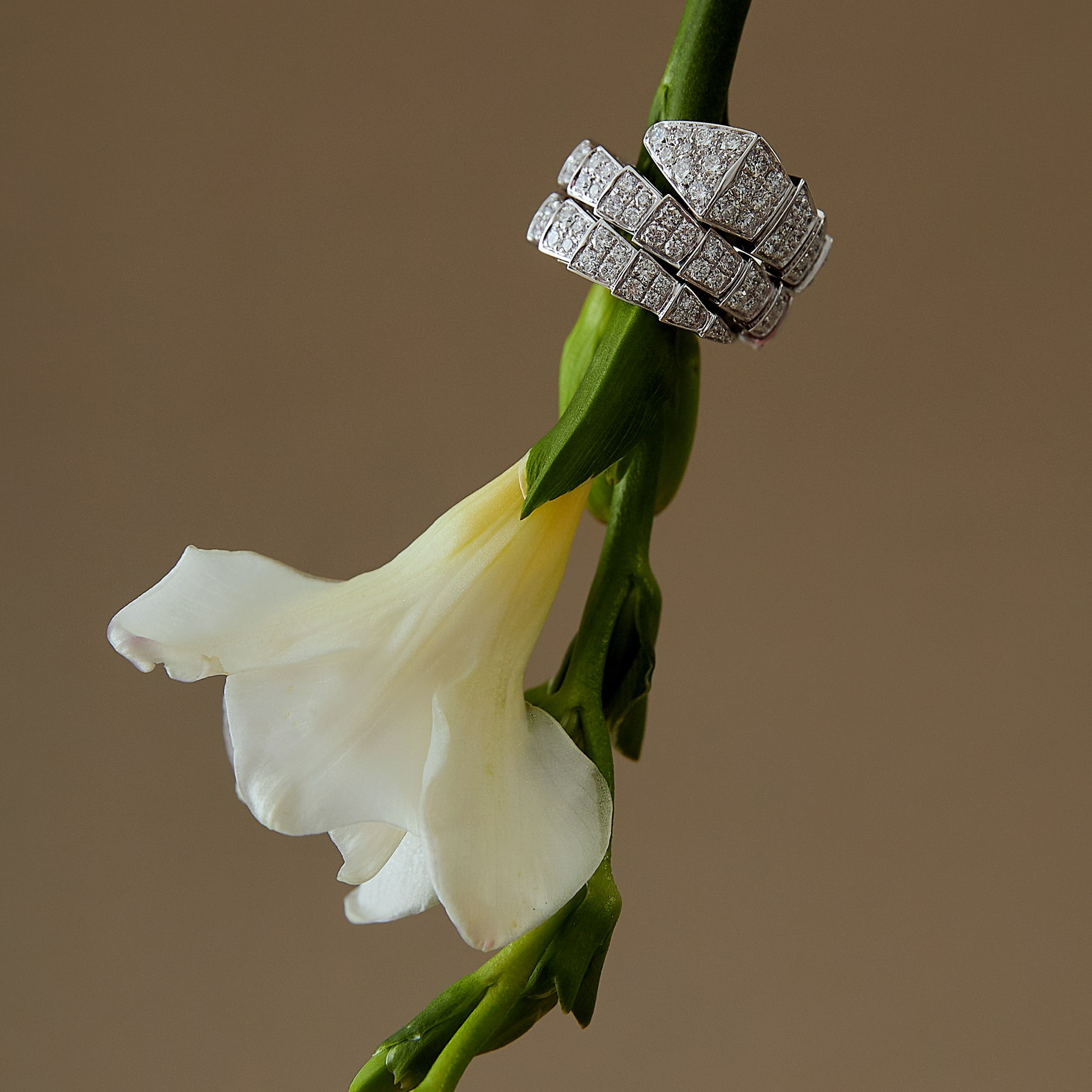 Ювелирные украшения (предметная)