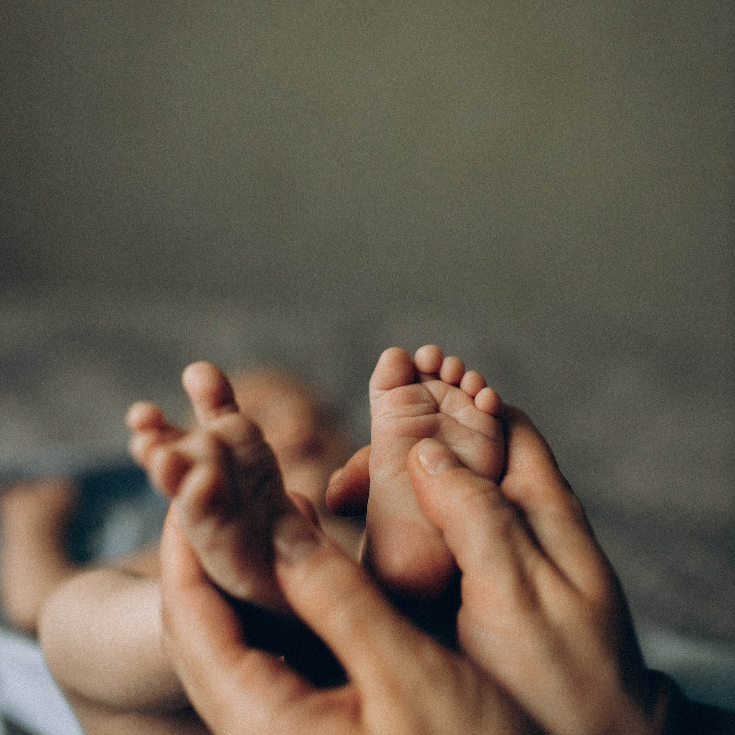 Стрельченя Дина