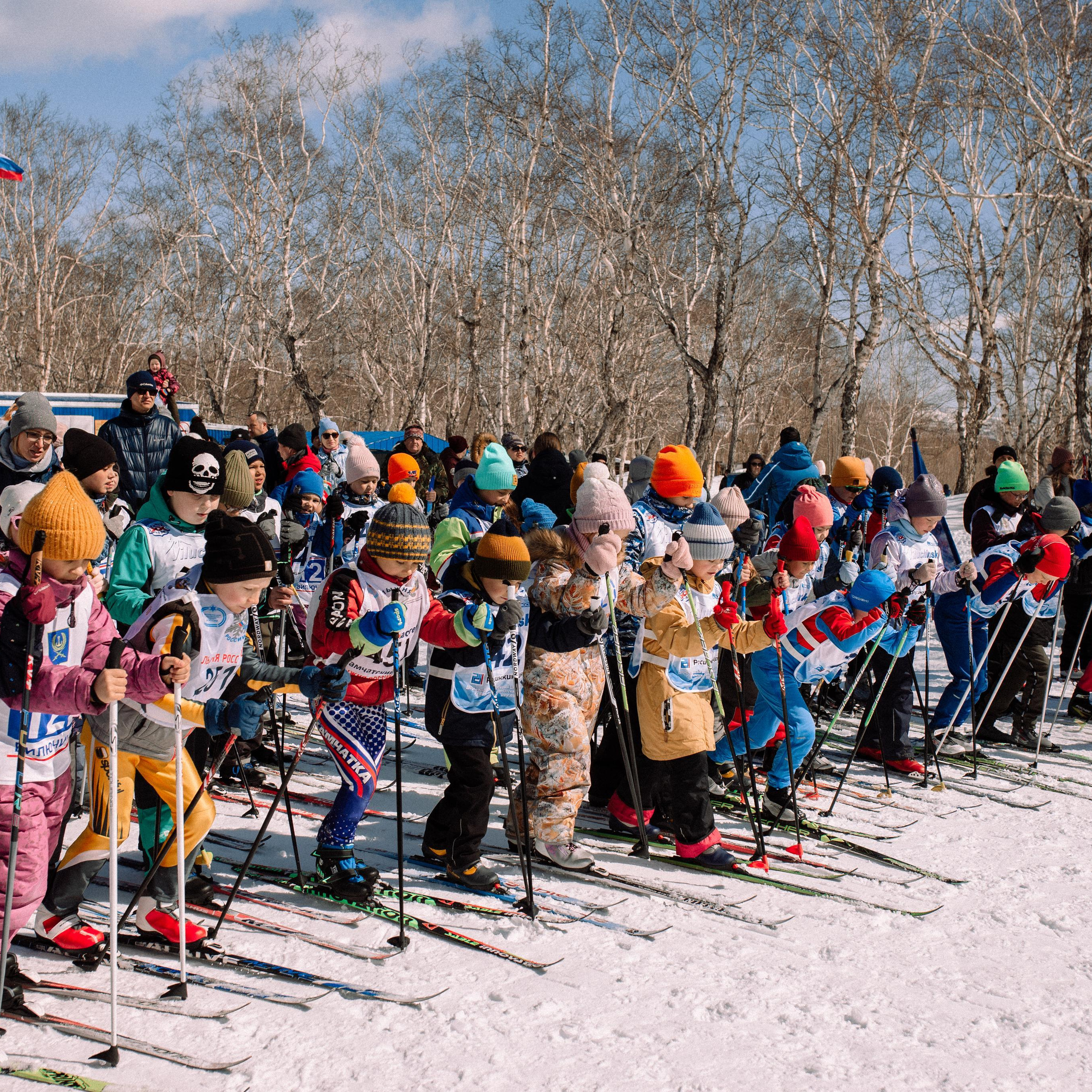 Отзывы. Стрельченя Дина