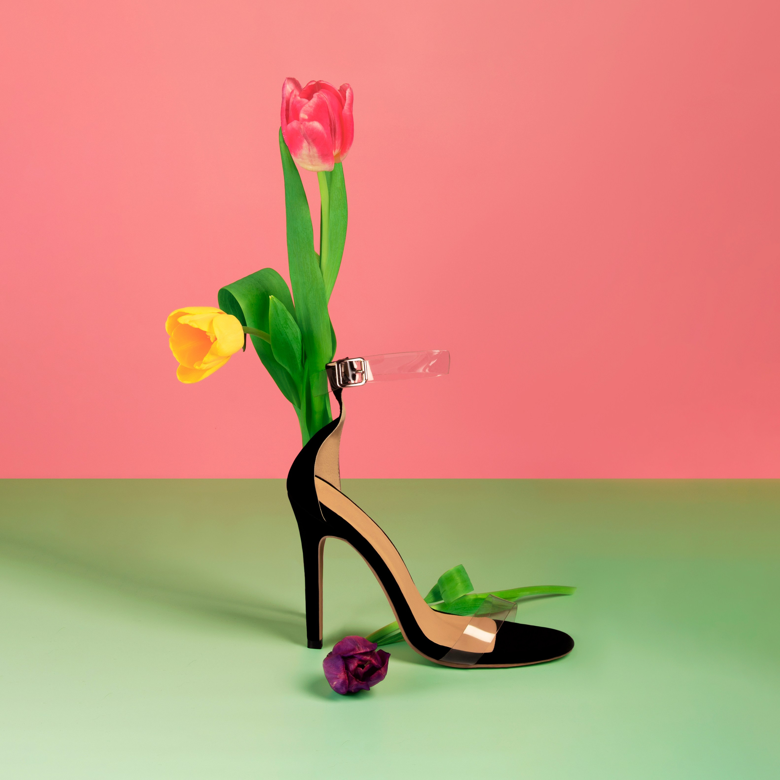 Предметная фотография