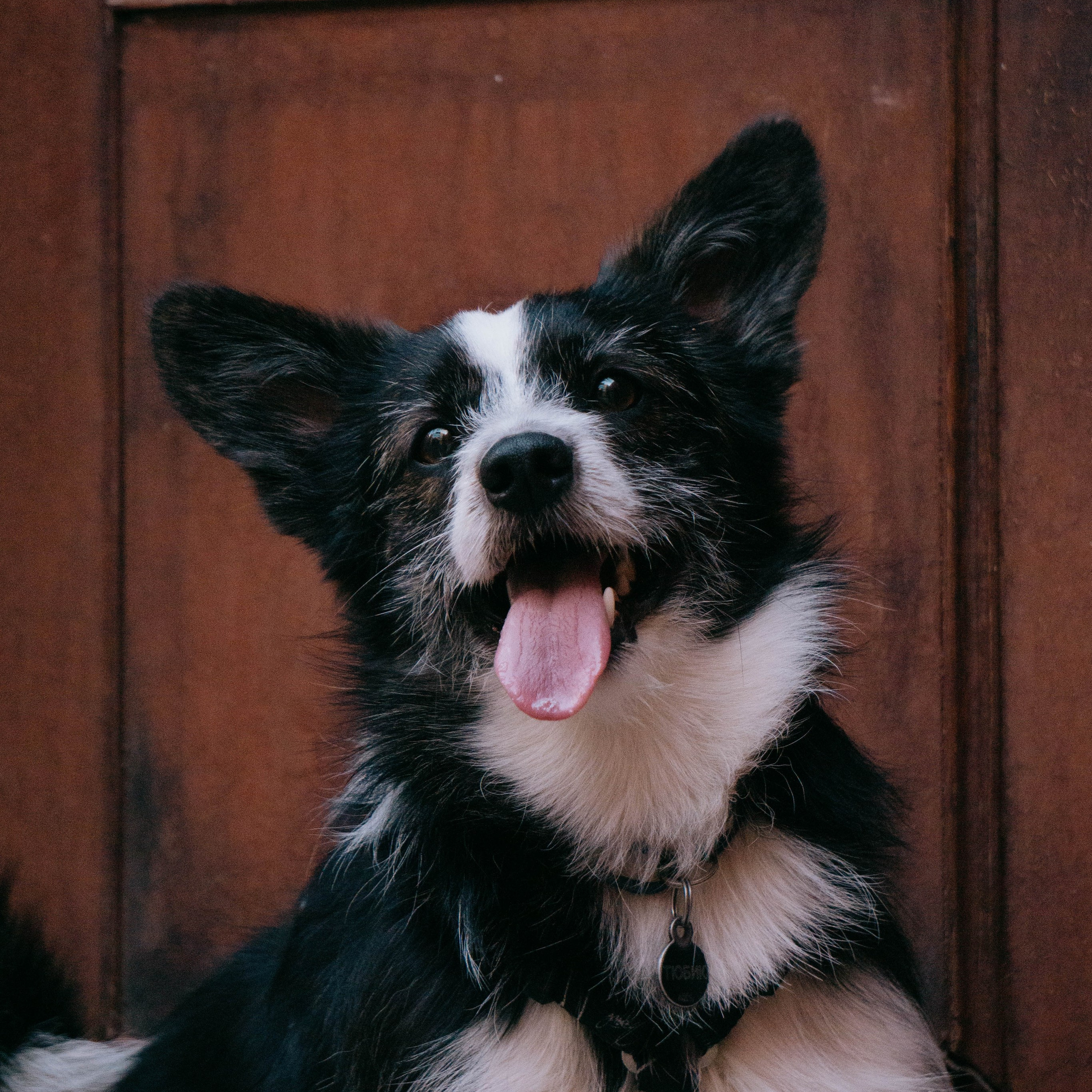 Даша и Тюбик