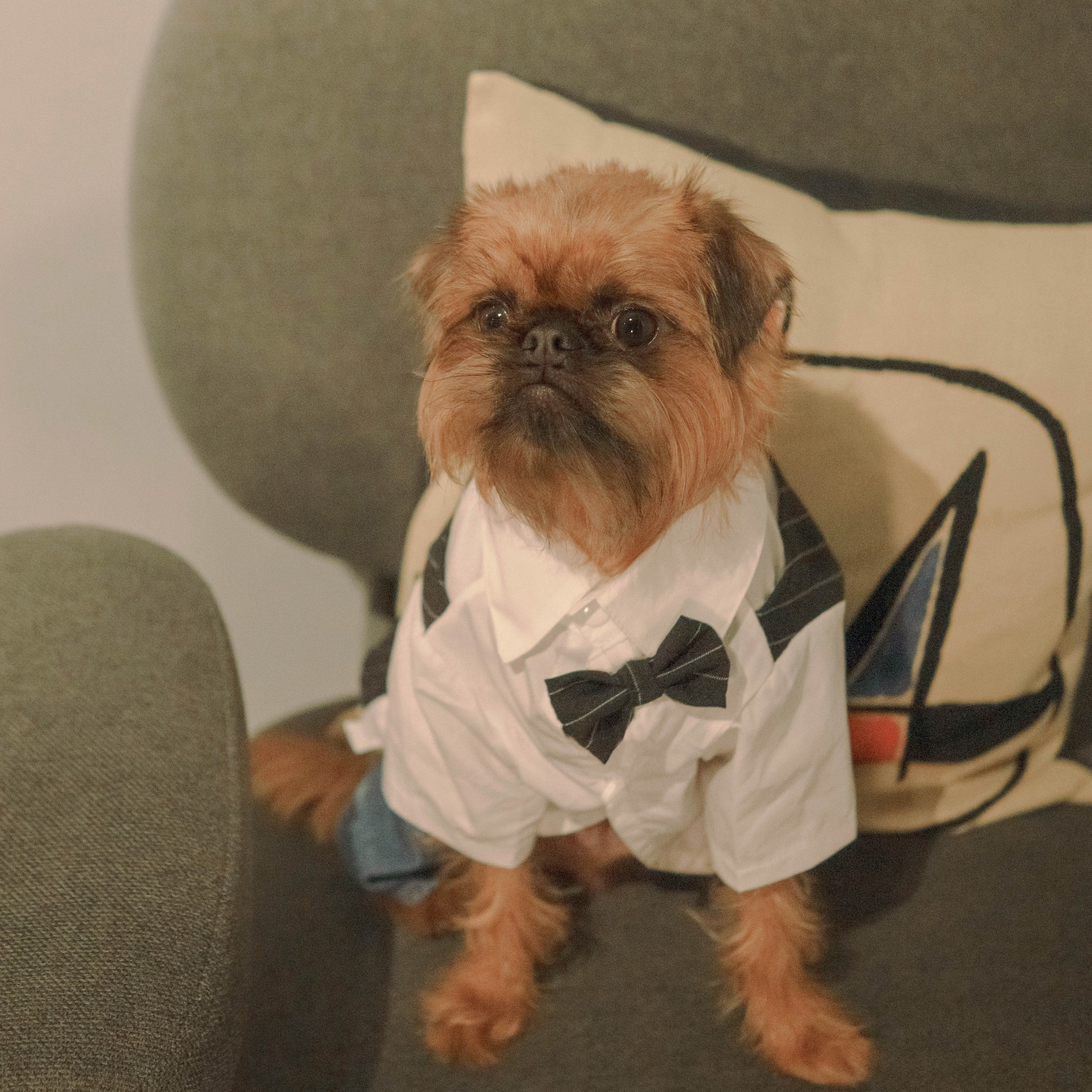 Наташа и Хавьер