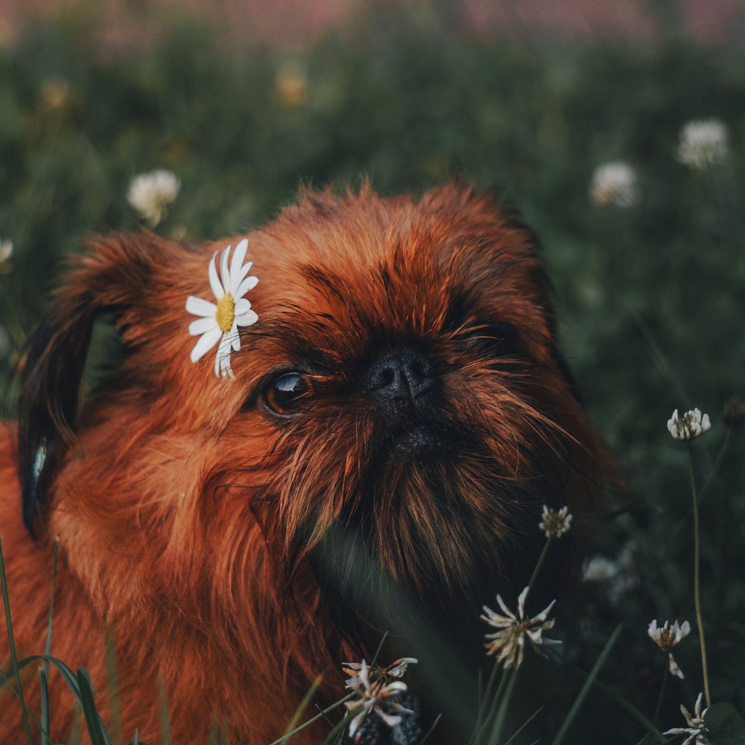 Катя и Яшма